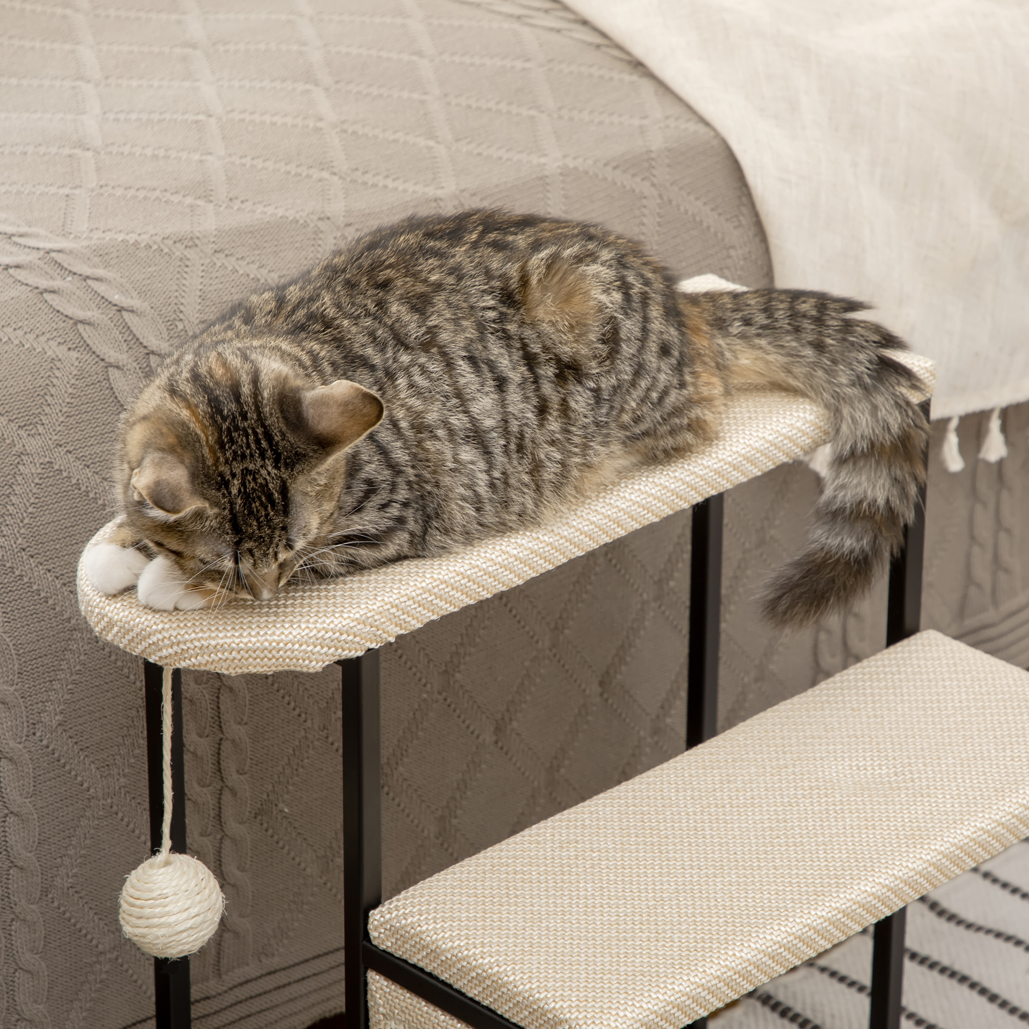 Un gato en un escalón para gatos, mirando hacia abajo.