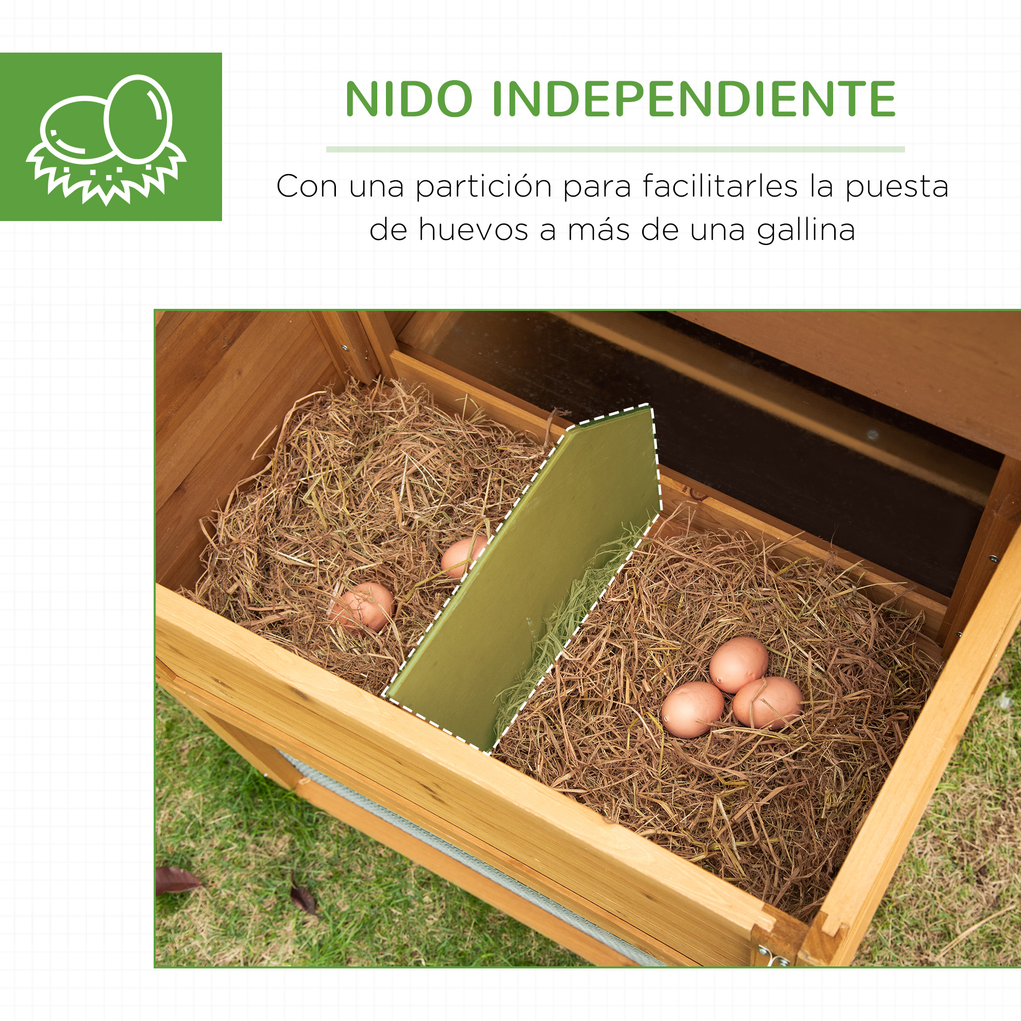Interior de gallinero. Nido de madera con huevos. Heno y una partición en la caja.