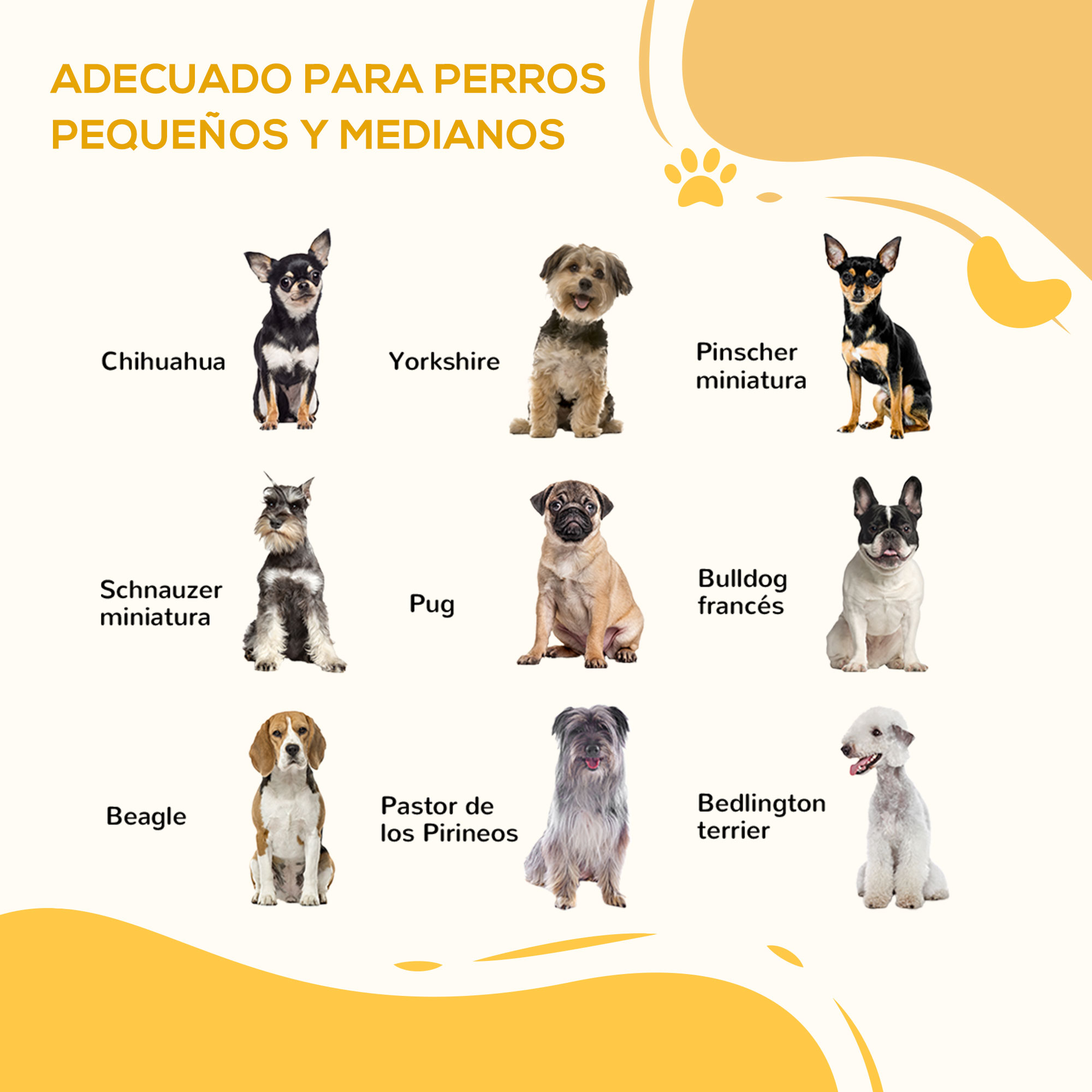 Perros ilustrados: Chihuahua, Yorkshire, Pinscher, Schnauzer, Pug, Bulldog, Beagle, Pirineos, Bedlington.