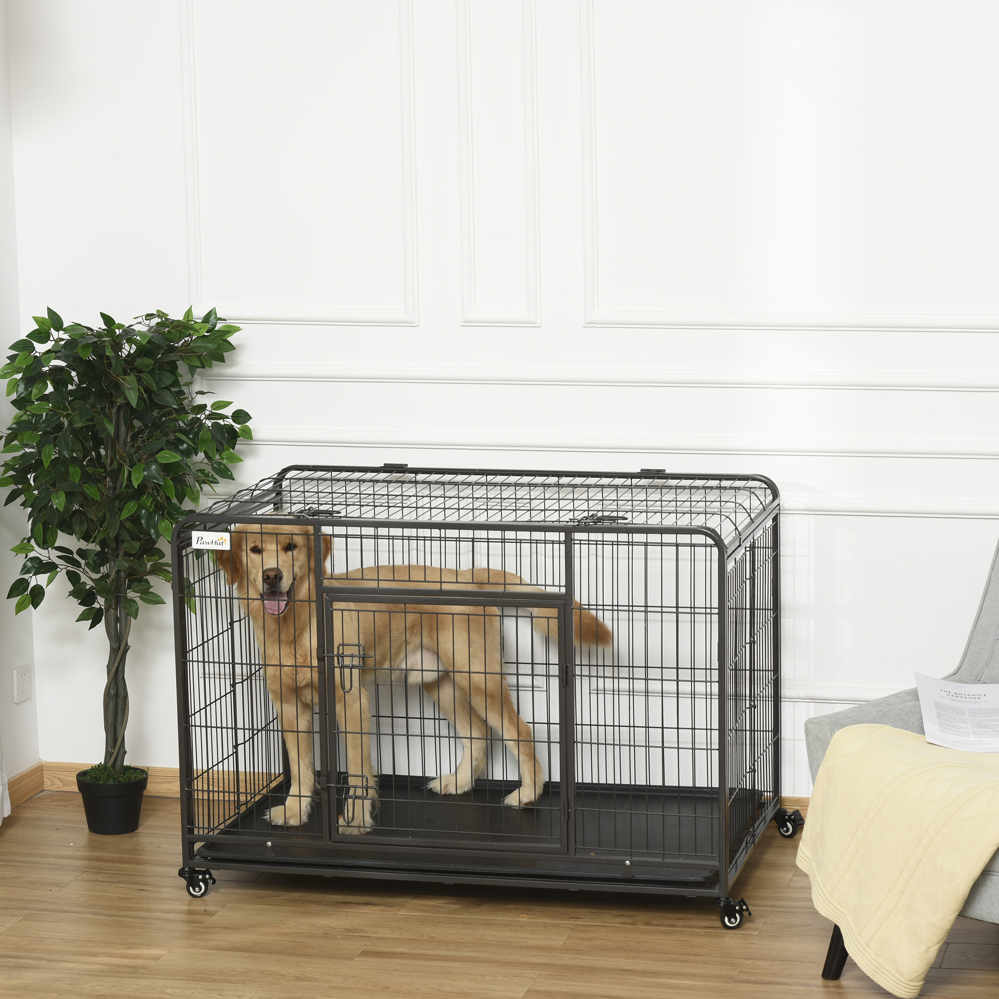 Perro dentro de una jaula de metal. La jaula tiene una puerta. Hay una silla y una planta junto a la jaula.