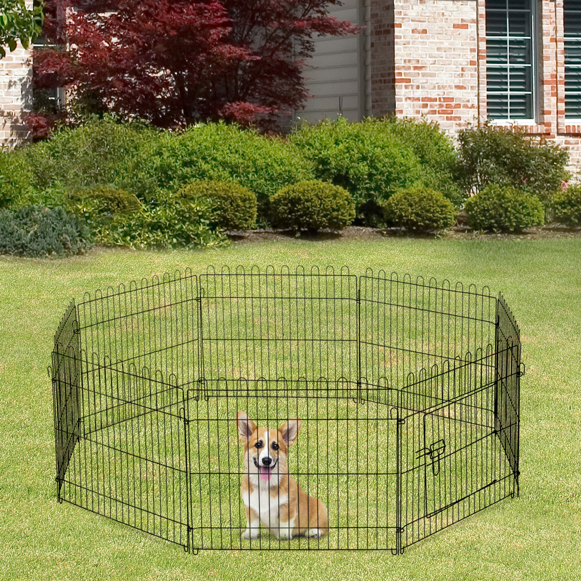 Un corgi está sentado en un corral de metal negro sobre hierba. Una casa con revestimiento de ladrillo al fondo.