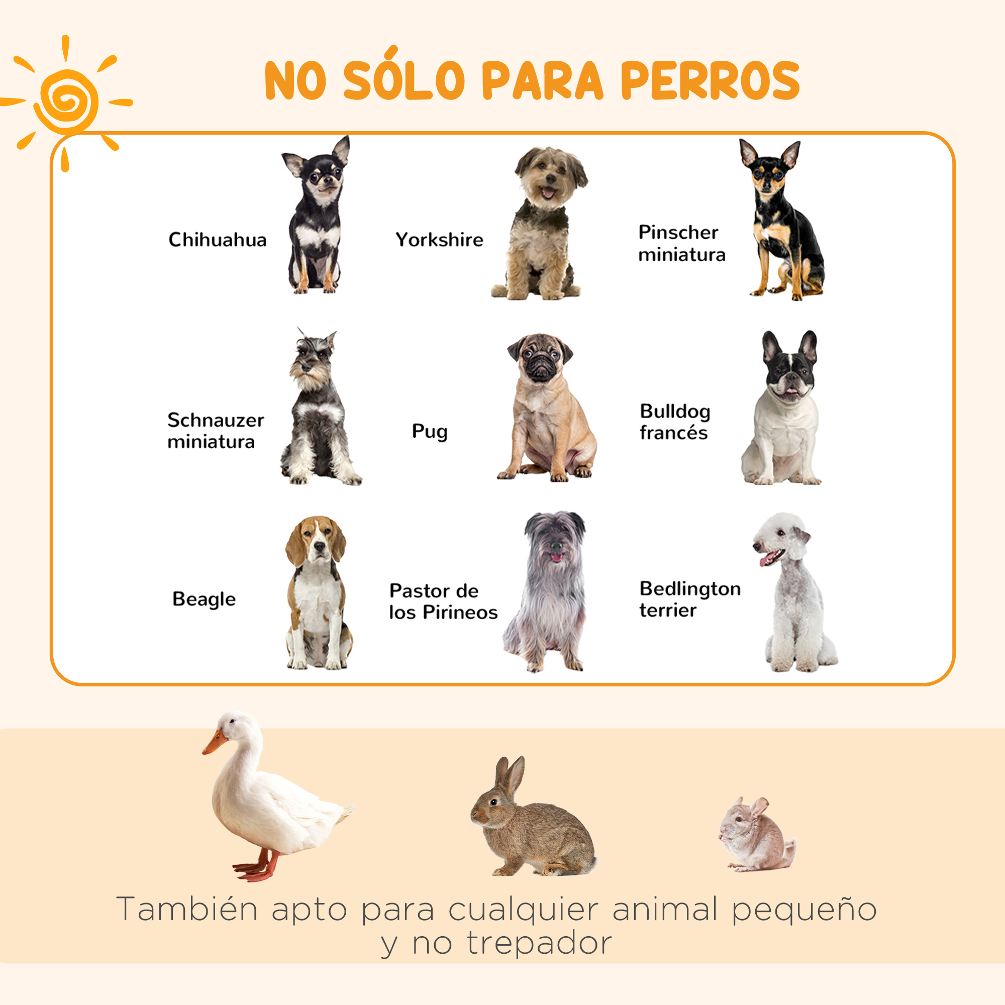 Surtido de razas de perros pequeños y otros animales, con texto.