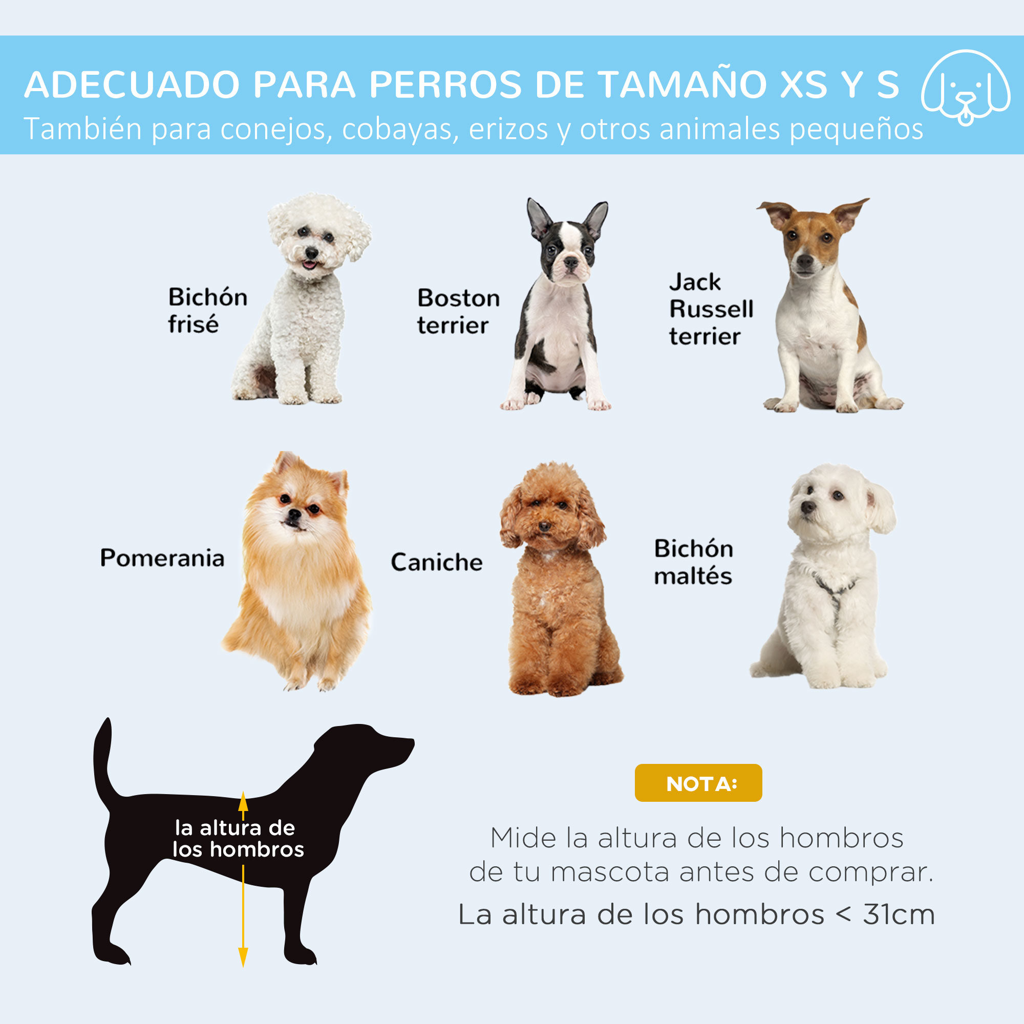 Una imagen con varias razas de perros: Bichón Frisé, Boston Terrier, Jack Russell, Pomerania, Caniche y Maltés.