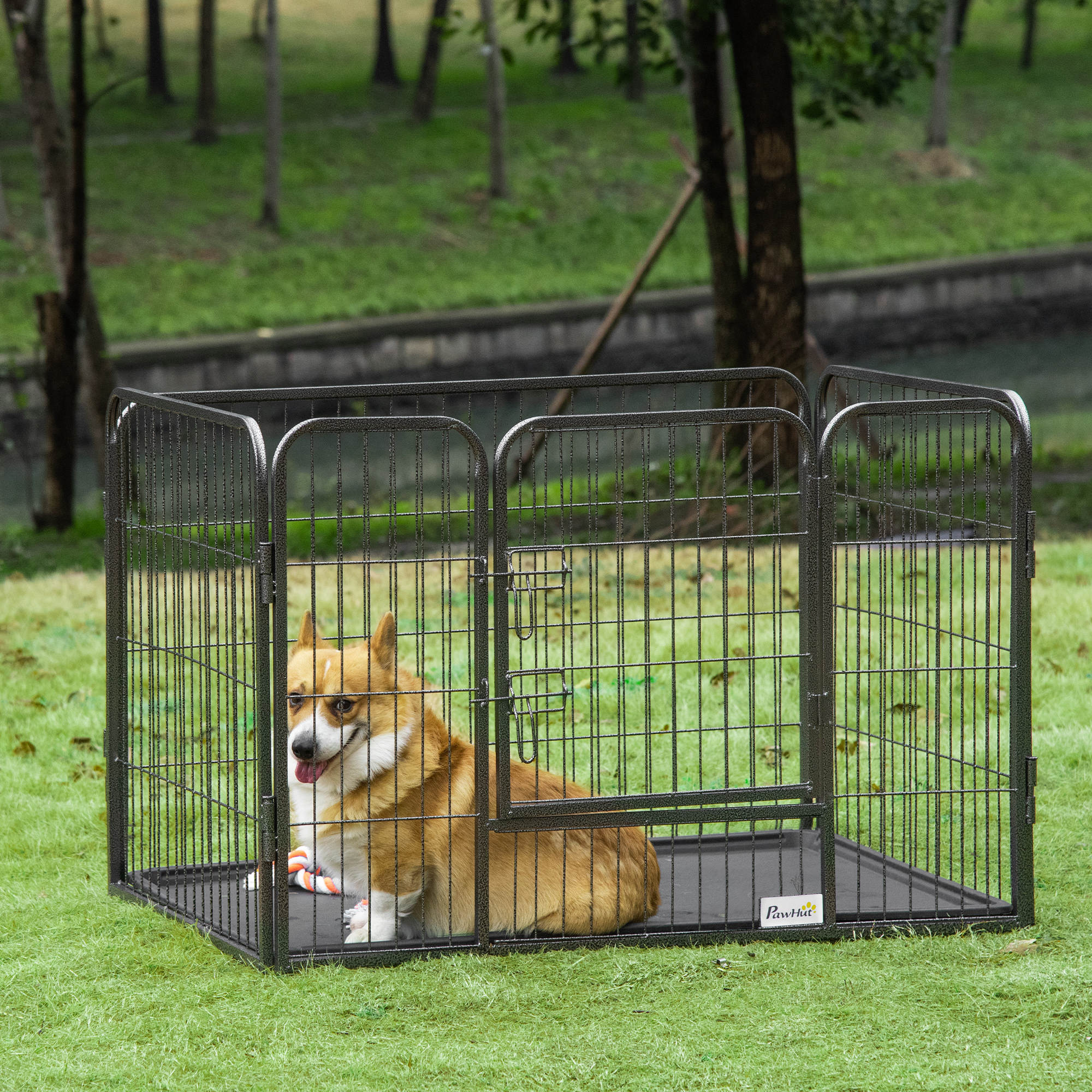Perro marrón en un corral metálico sobre césped. El corral tiene puerta y es rectangular.