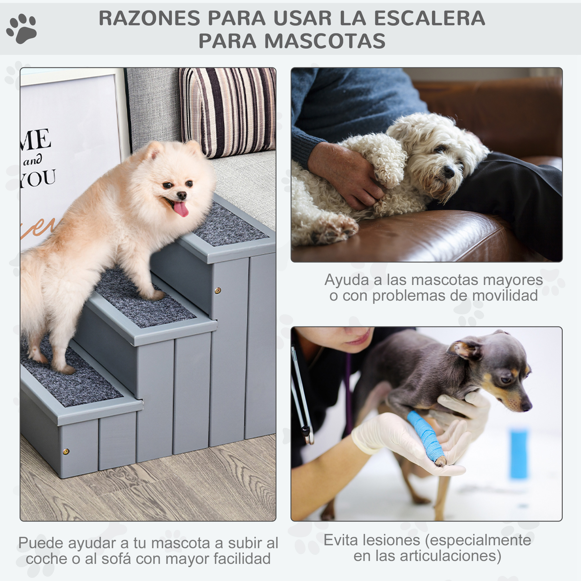 Collage con imágenes de mascotas usando escaleras. El texto resalta los beneficios.