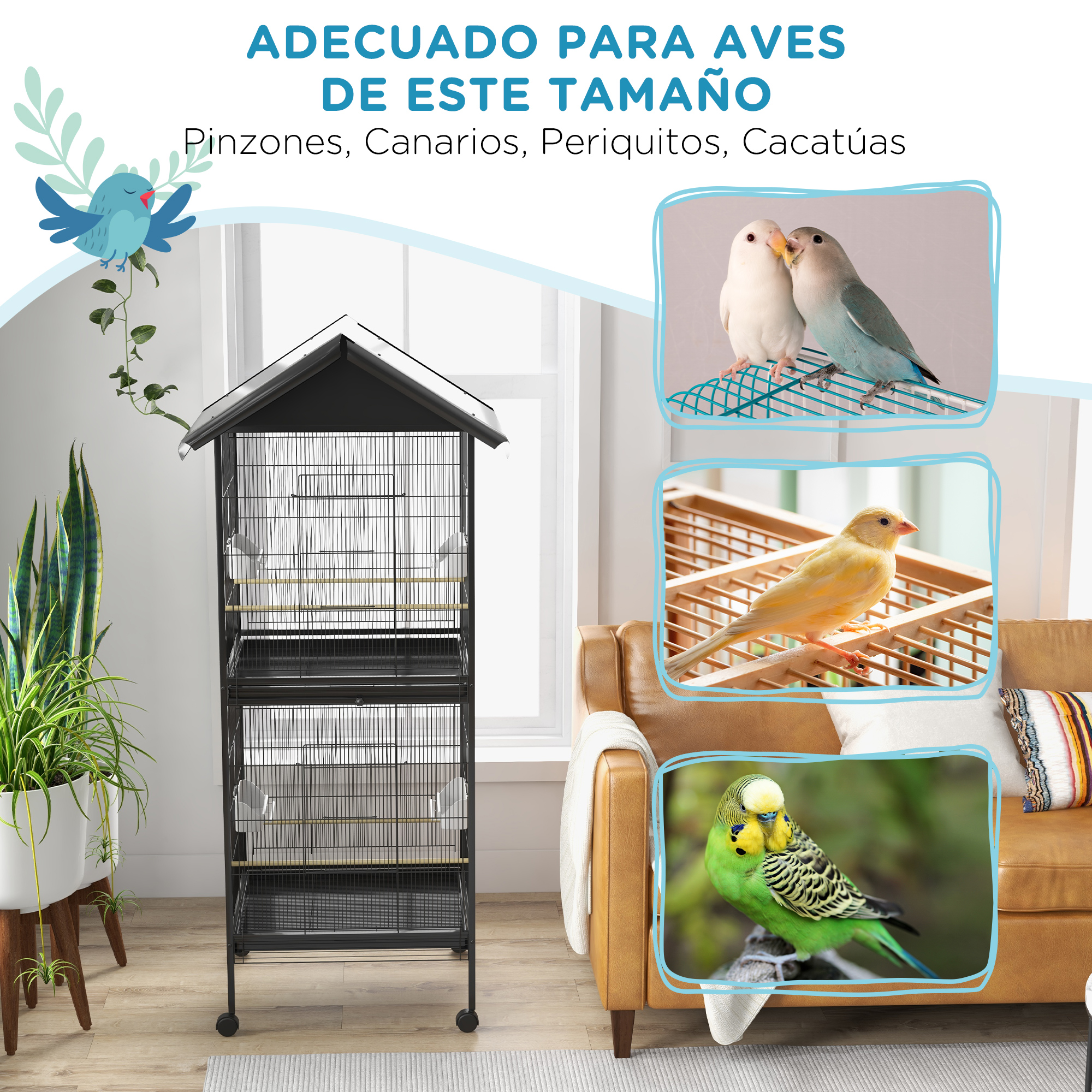 Jaula negra con tres fotos de aves. Plantas y texto en el fondo.