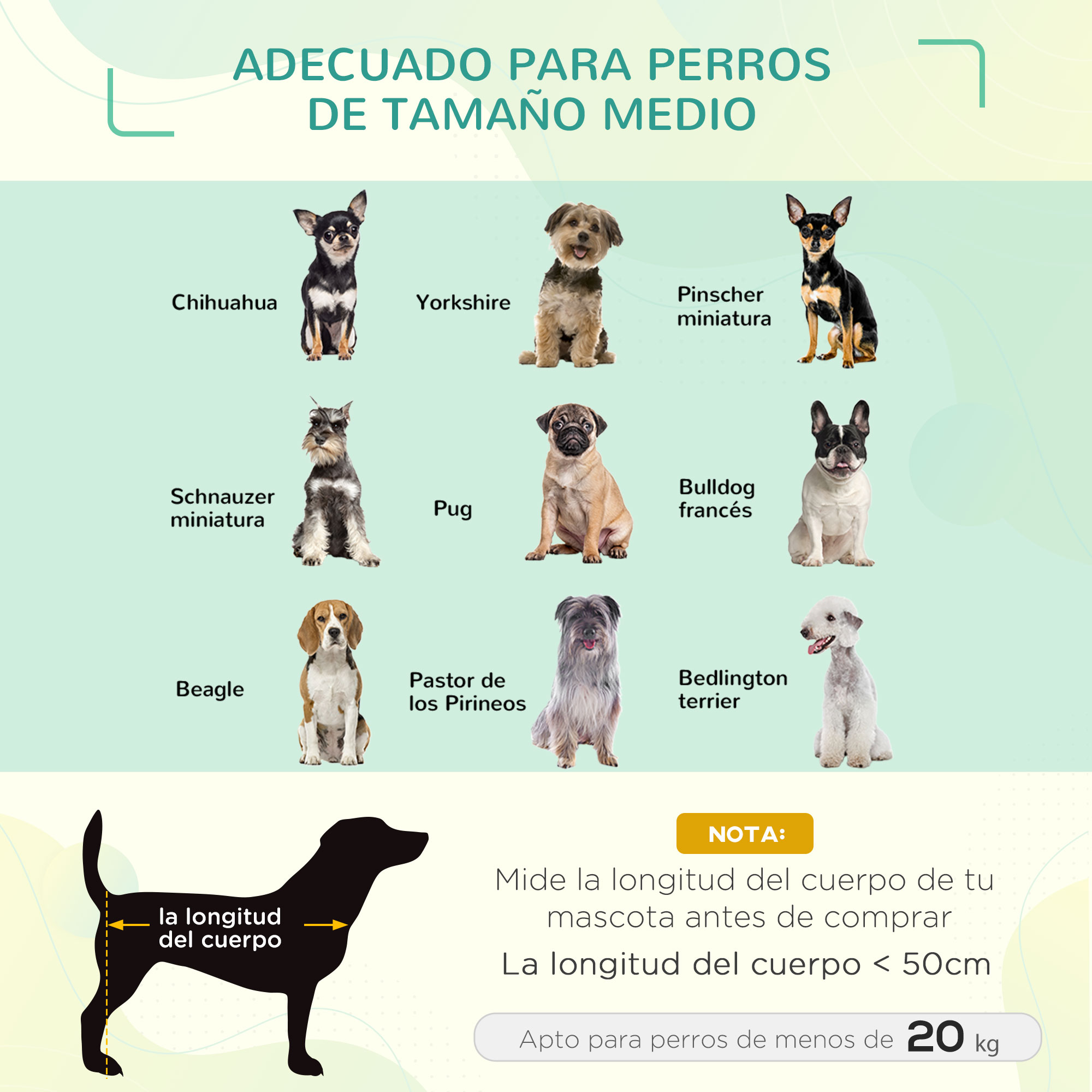 Se muestran razas de perros: Chihuahua, Yorkshire, Pinscher miniatura, Schnauzer, Pug, Bulldog francés, Beagle y más.