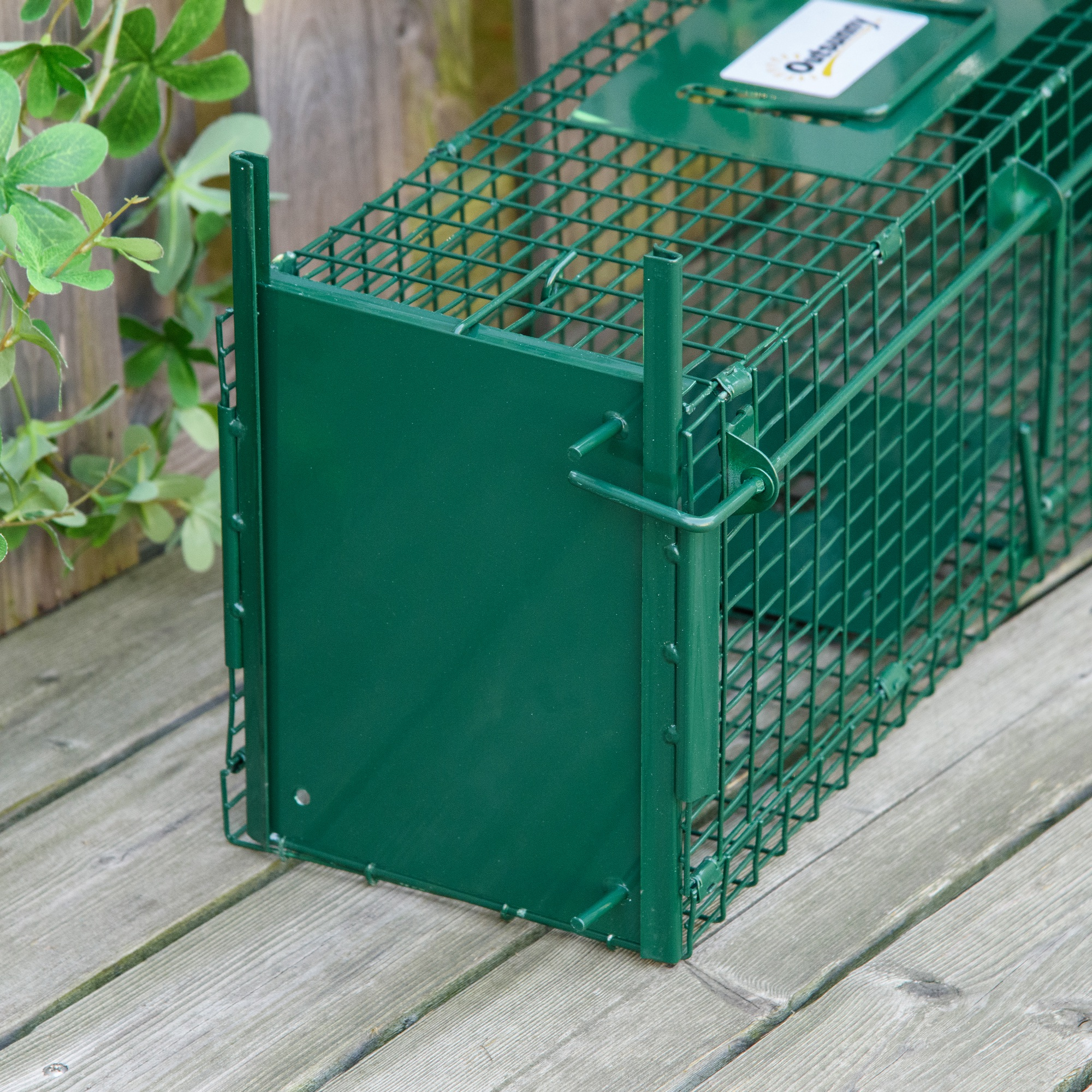 Trampa metálica verde para animales con puerta verde y rejilla metálica. Está sobre tablas de madera.