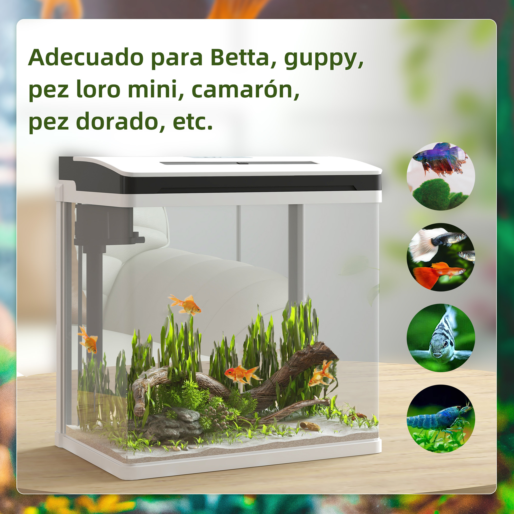 Una pecera con peces y plantas. Imágenes de diferentes especies de peces están a la derecha.