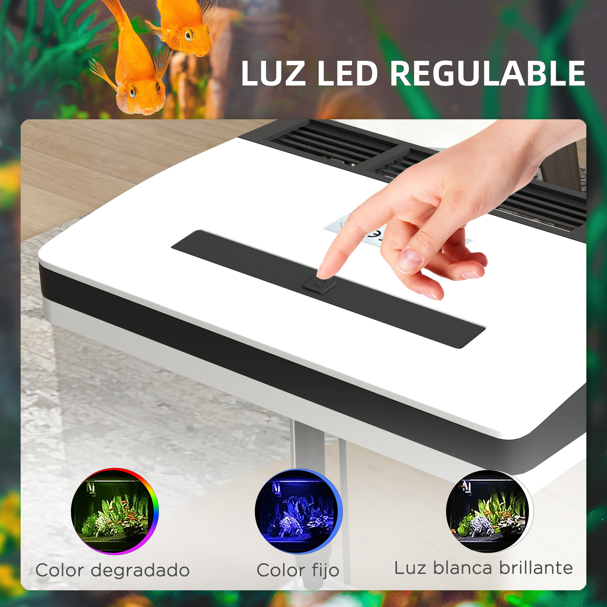 Acuario con luz LED ajustable. Las luces se muestran en diferentes colores. Vista superior.