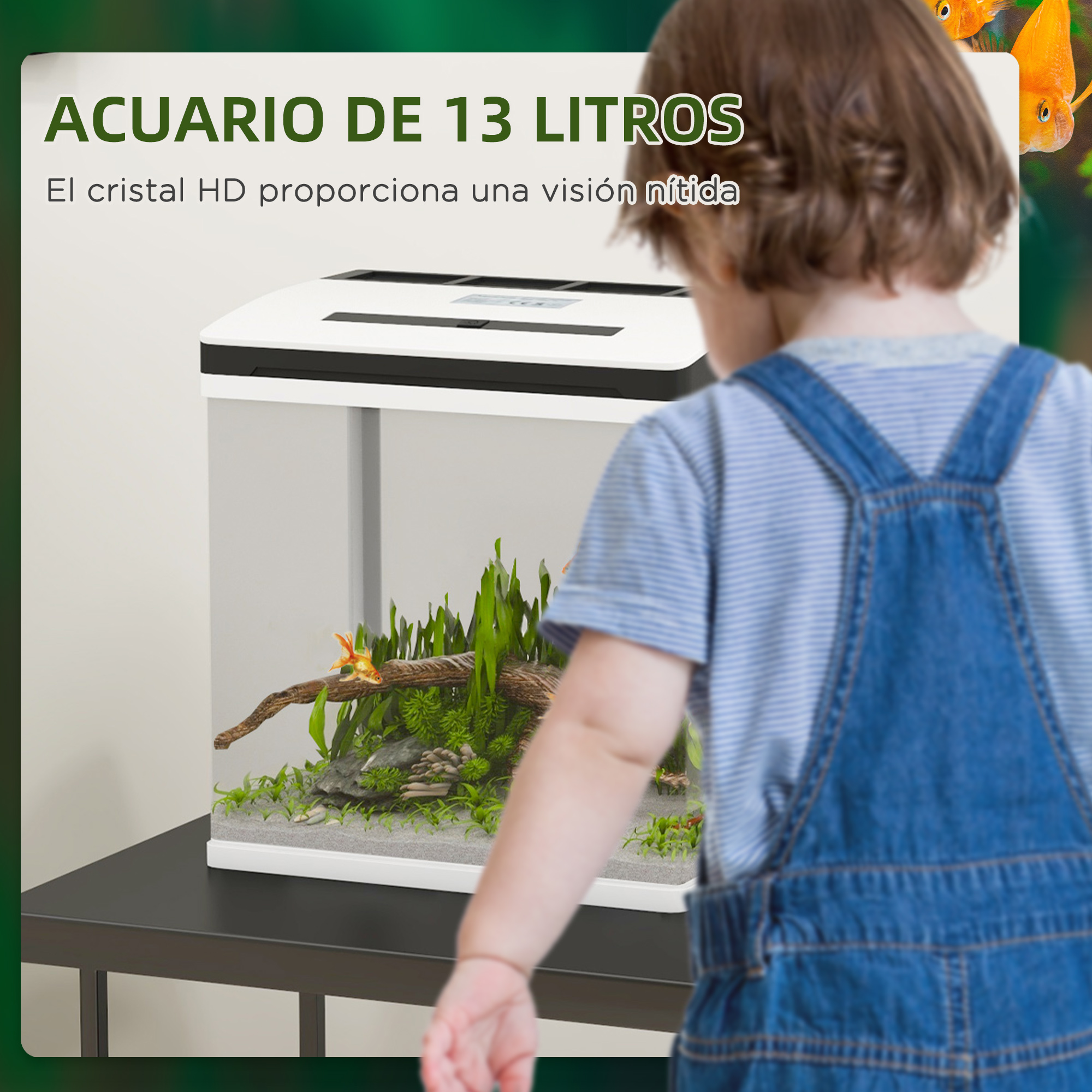 Un niño mirando un acuario con peces y plantas. Texto en español.