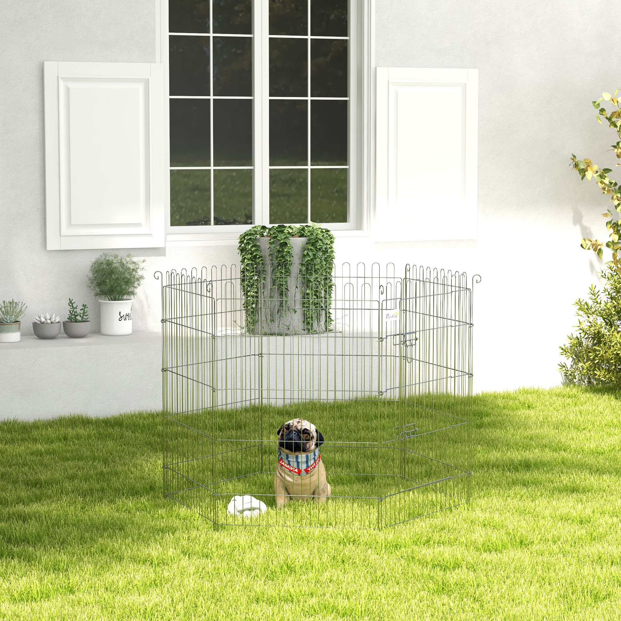 Un perro en un corralito de metal sobre césped, junto a una casa blanca con persianas y plantas.