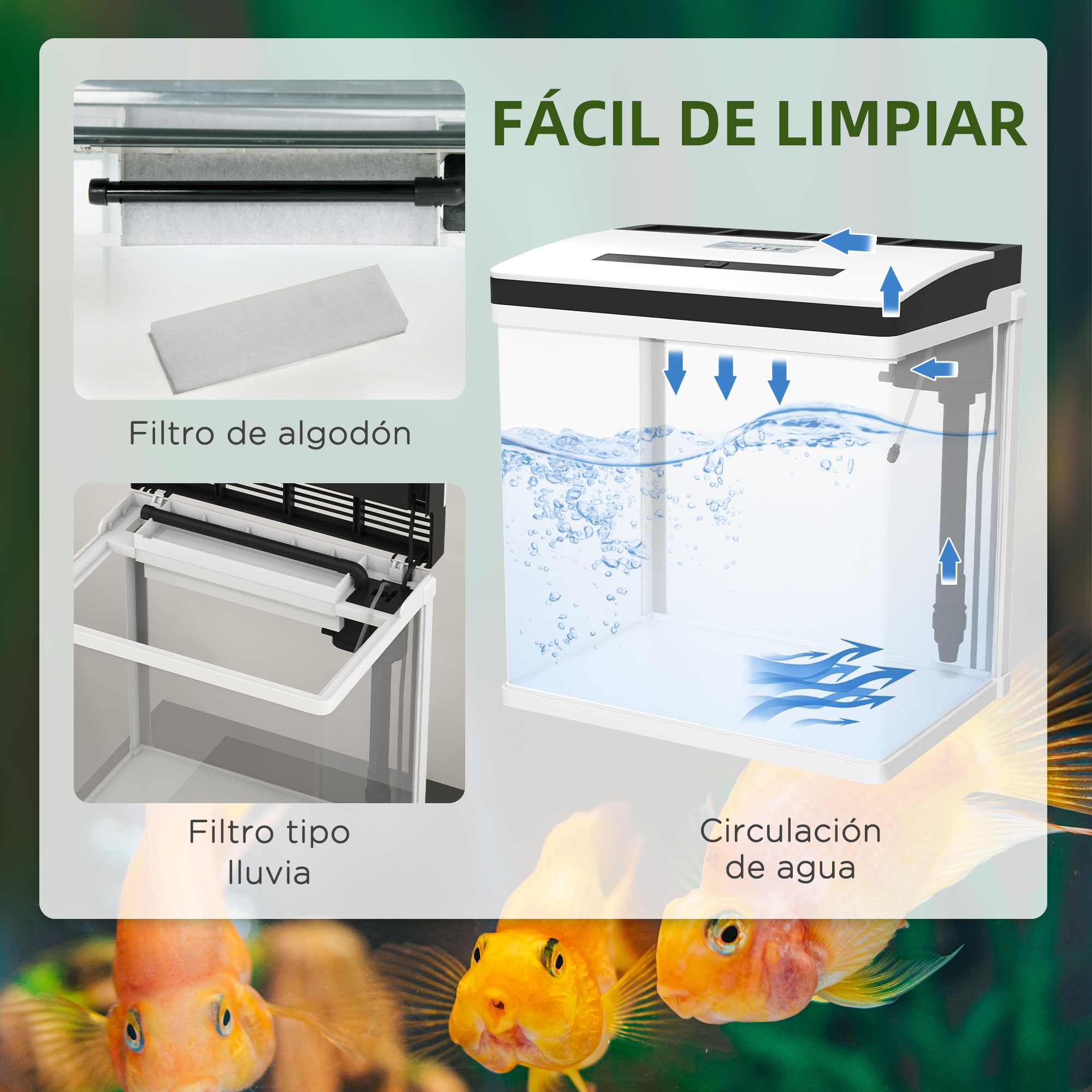 Un acuario con filtros y circulación de agua. Peces nadando en el tanque.