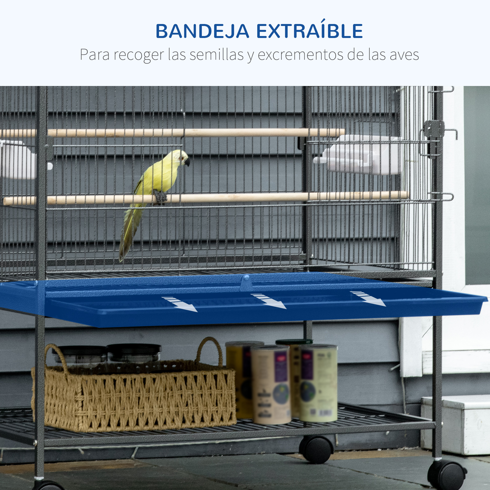 Jaula de pájaros con bandeja azul, un loro y varios accesorios.