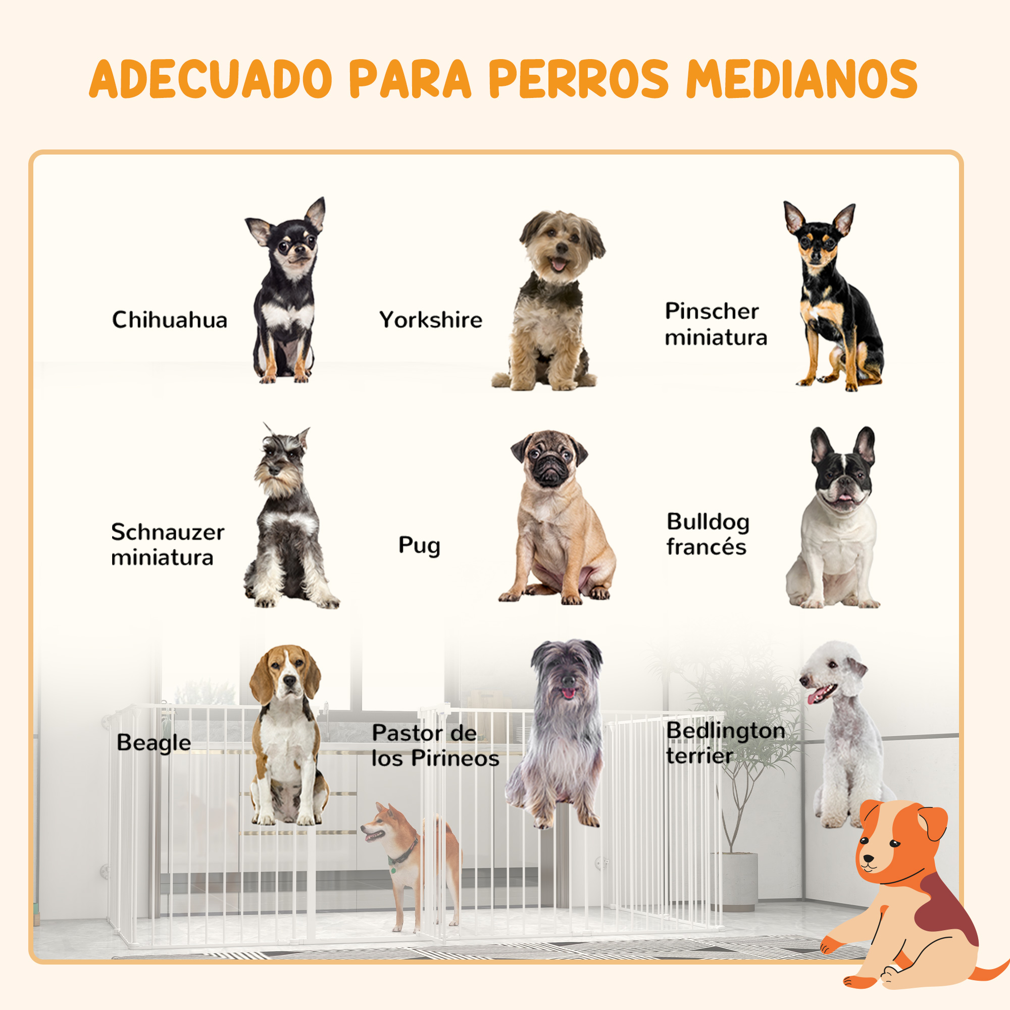 Se muestran nueve razas de perros. El texto dice: Adecuado para perros medianos. Hay un parque para perros en el fondo.