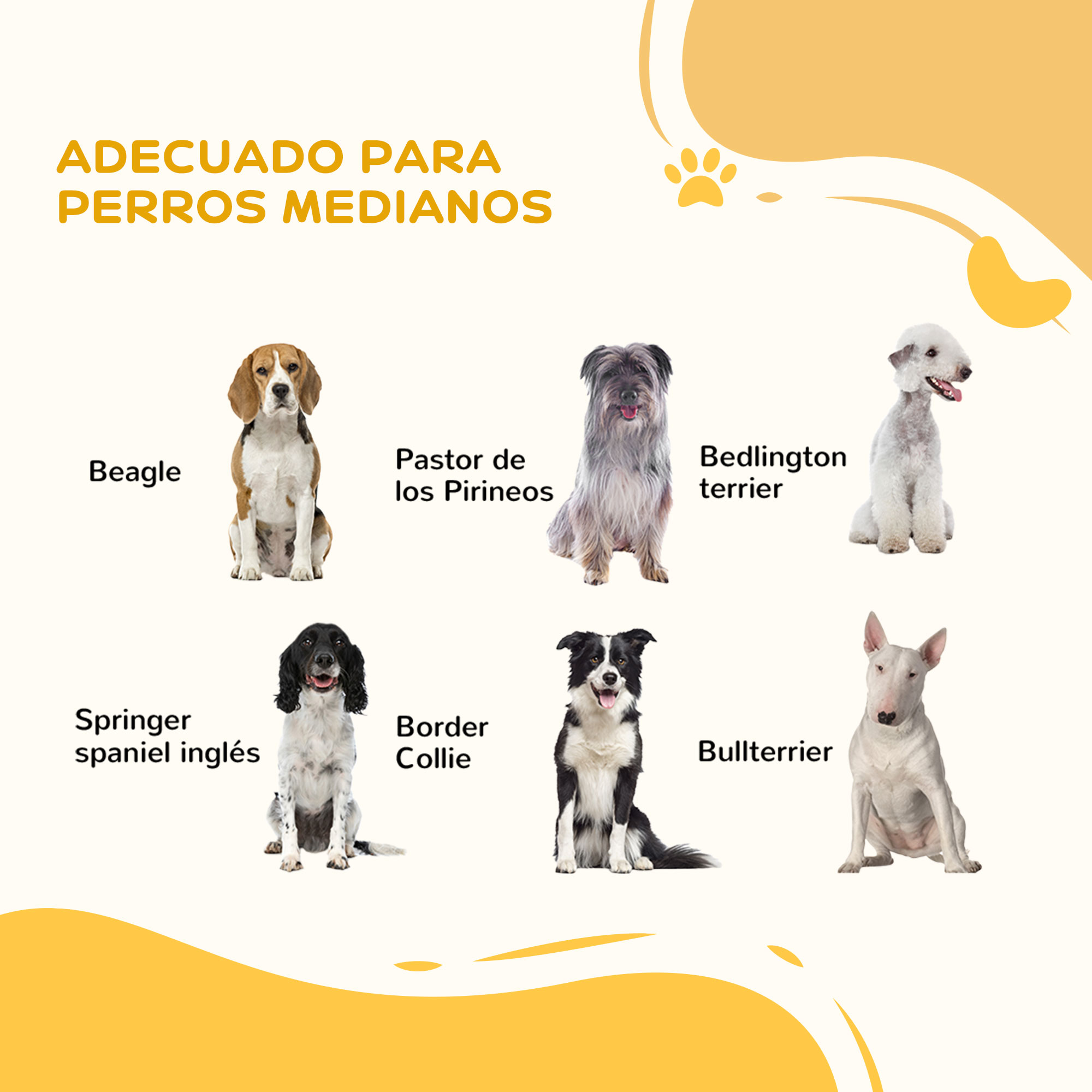 Imagen ilustrativa que muestra varias razas de perros: Beagle, Pastor de los Pirineos, Bedlington terrier, etc.