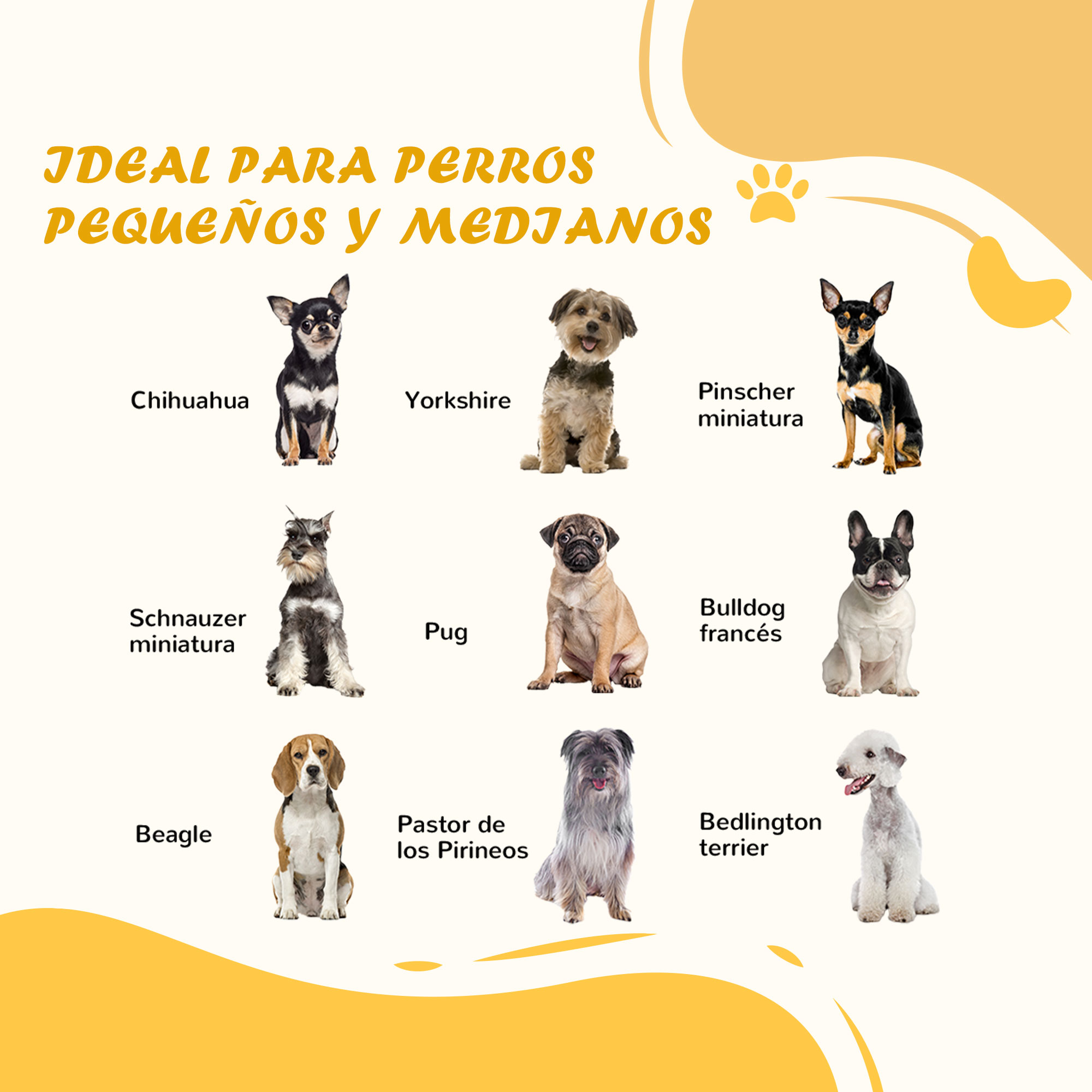 Nueve razas de perros con sus nombres, sobre un fondo amarillo.