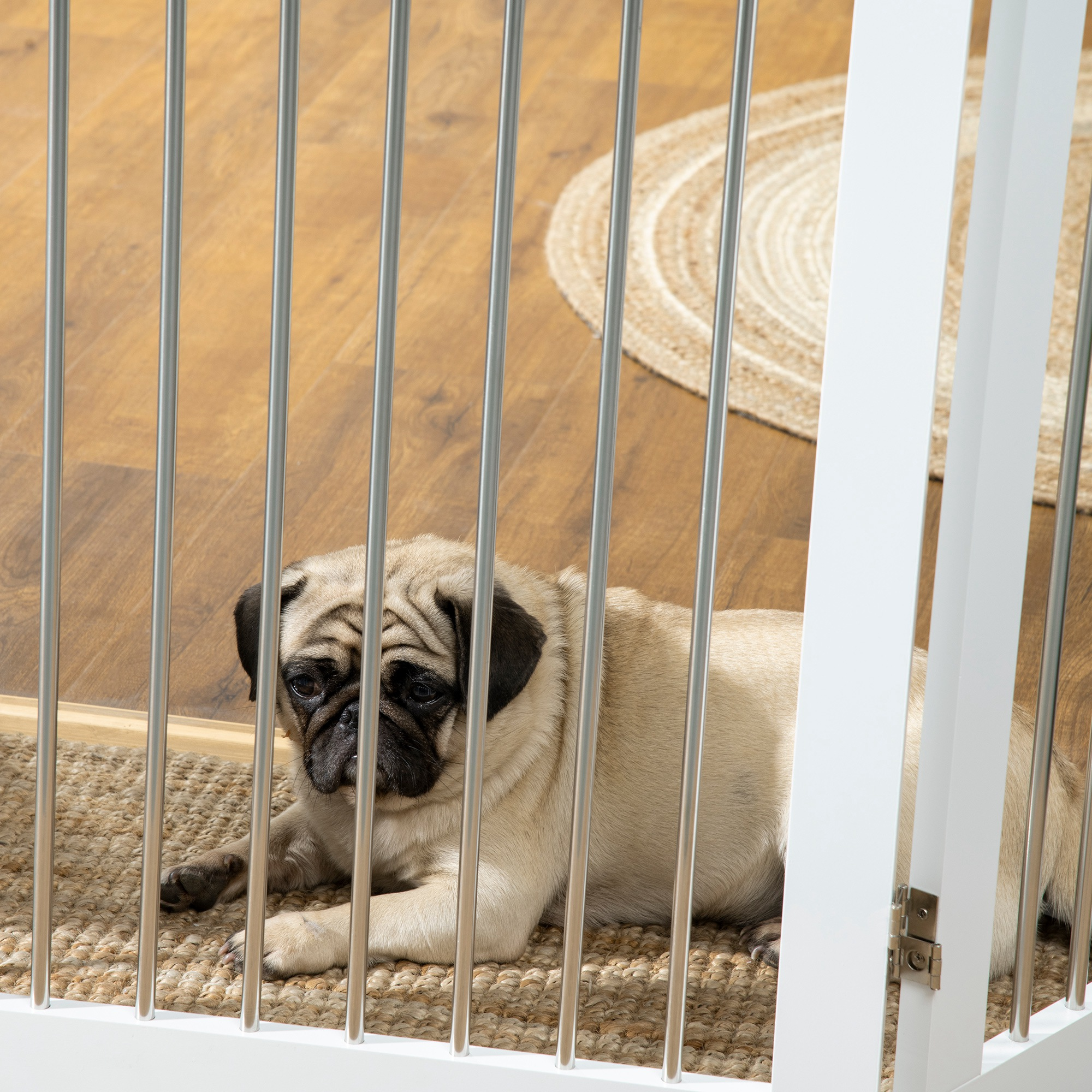 Un perro pug echado en una jaula de metal blanca. Está mirando a la cámara.