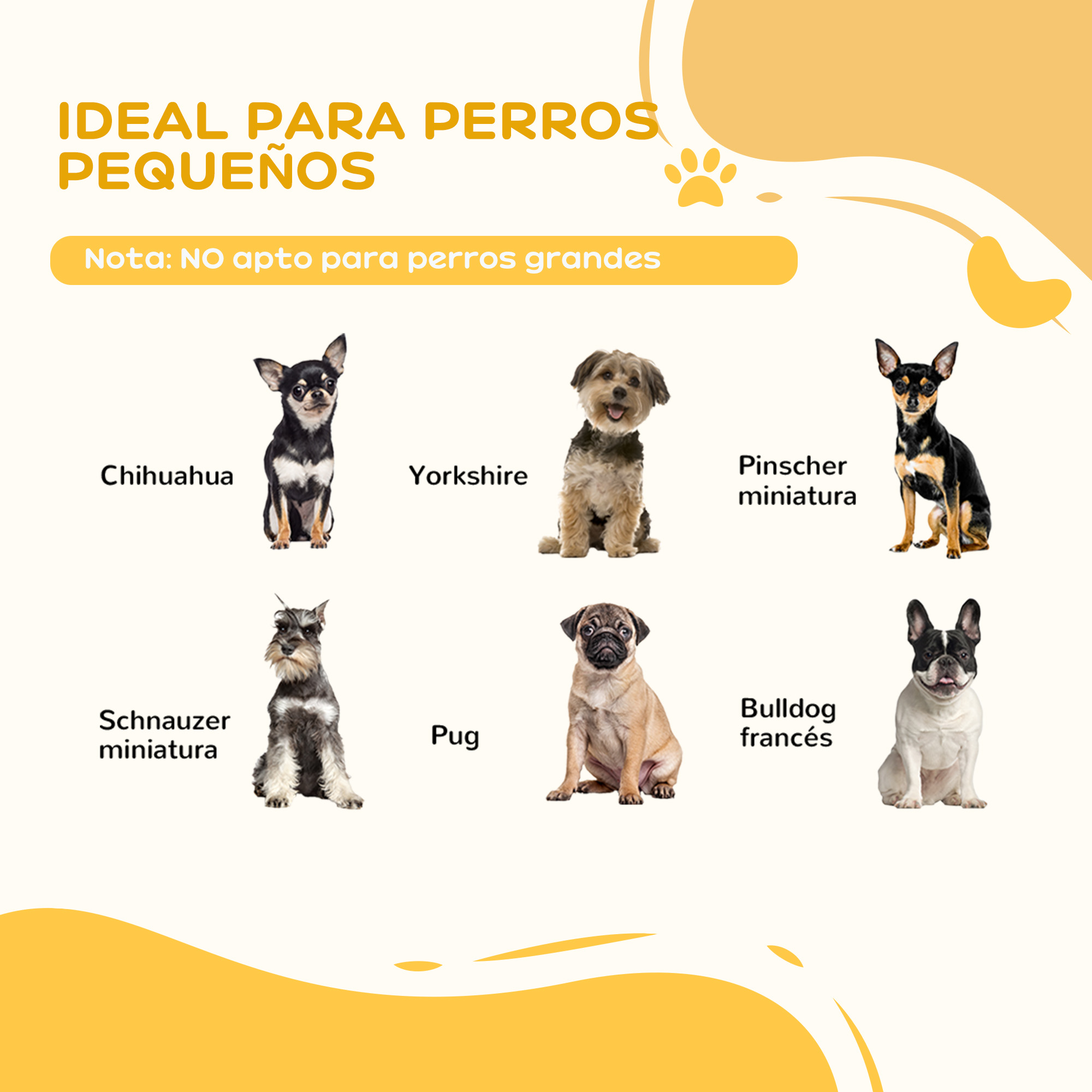 Imagen muestra seis razas de perros pequeños, incluyendo Chihuahua, Yorkshire y Pinscher miniatura.