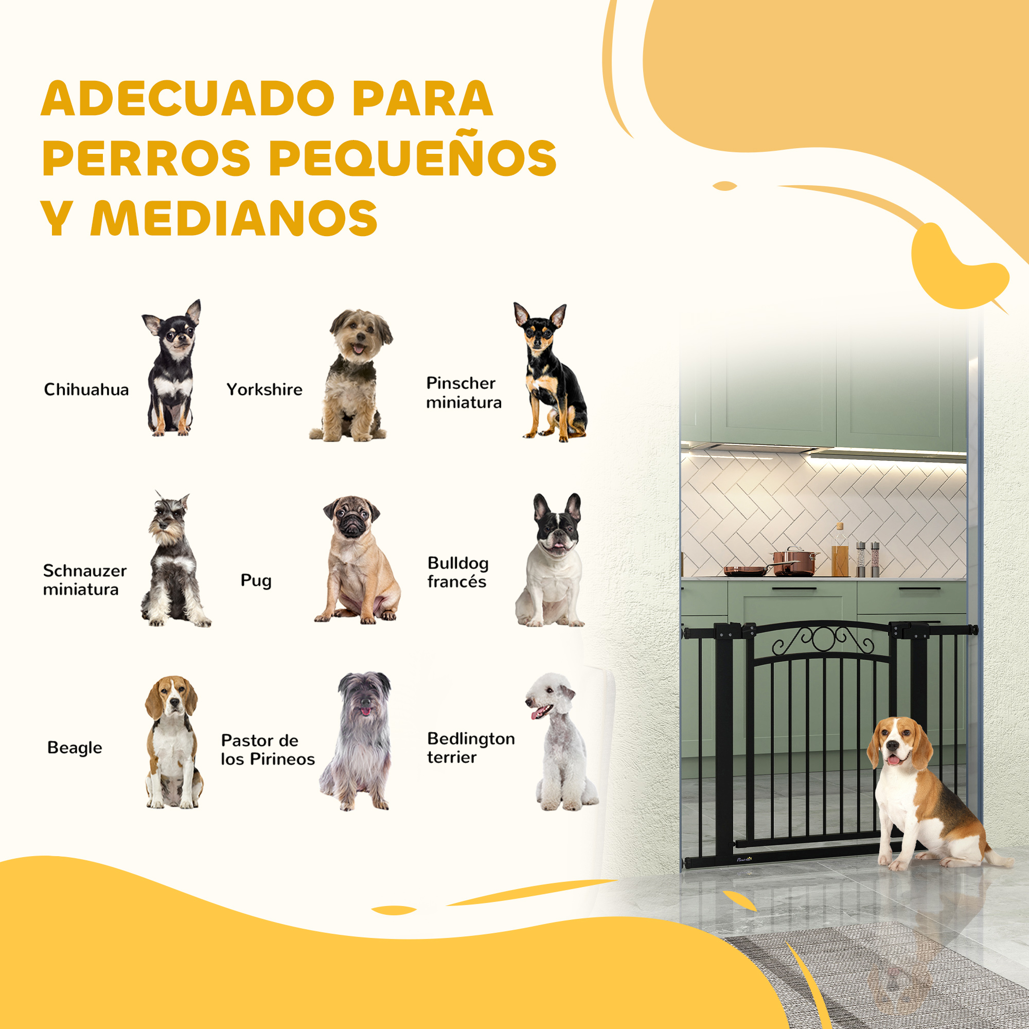 Varias razas de perros cerca de una puerta. Texto: Adecuado para perros pequeños y medianos.