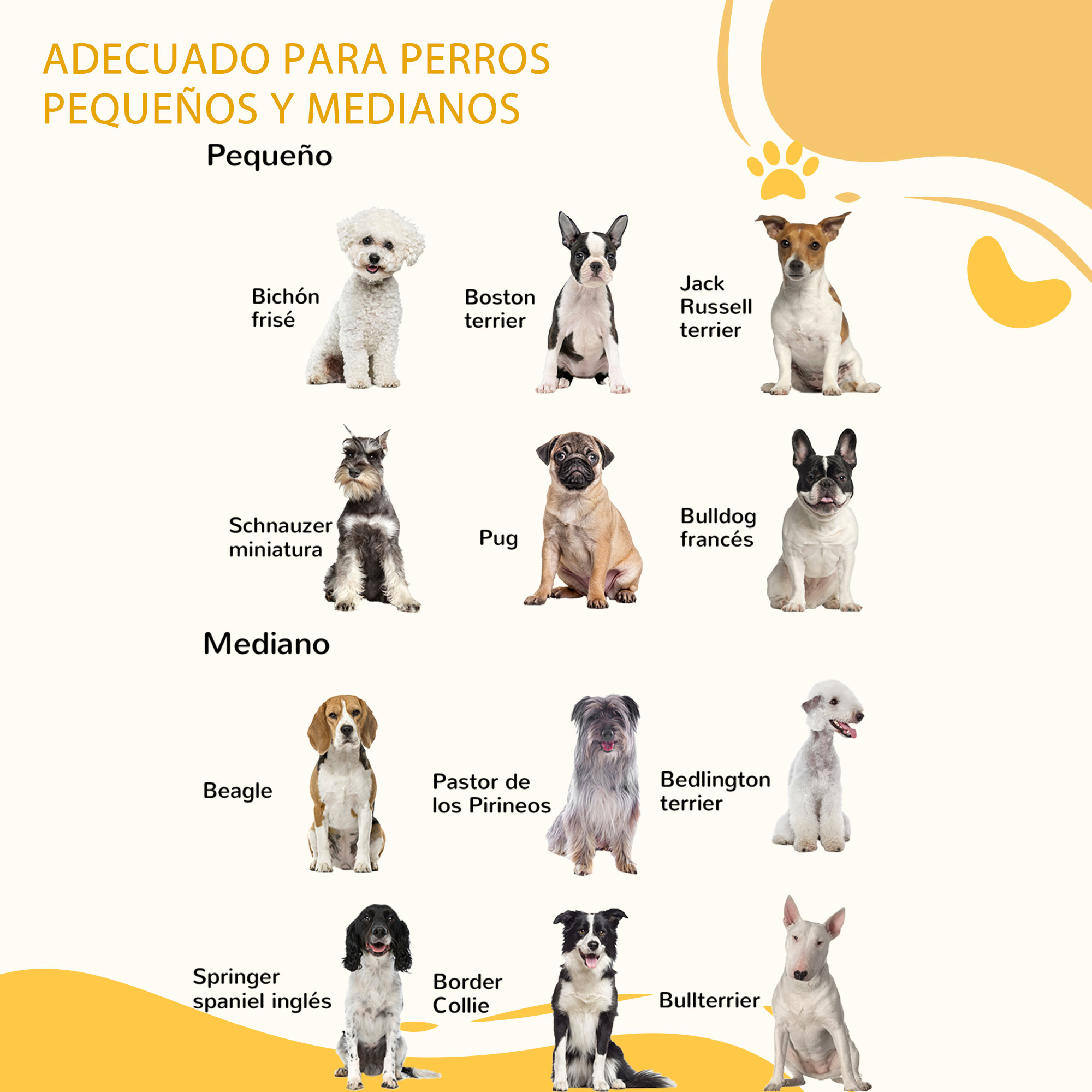 Un póster que muestra una variedad de razas de perros, incluyendo perros pequeños y medianos.