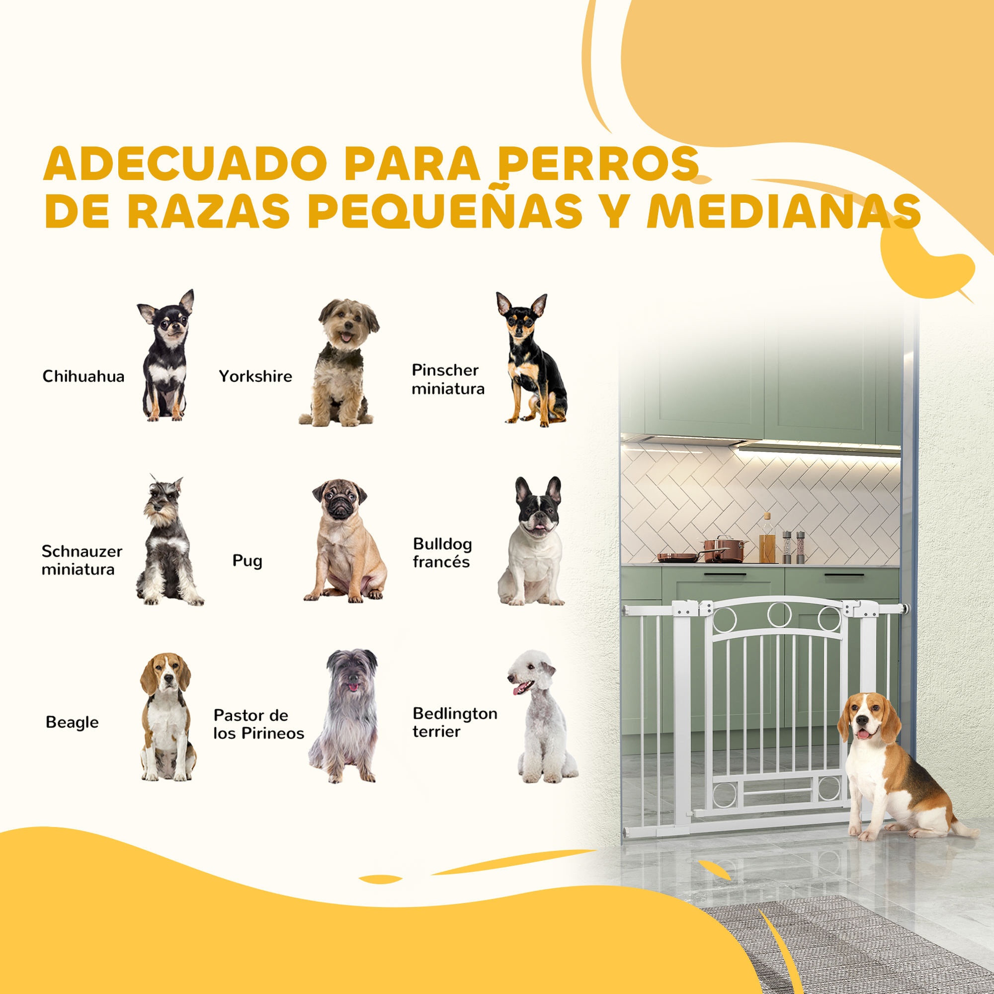 Se muestran varias razas de perros pequeños y medianos con sus nombres. Una puerta blanca está al fondo.