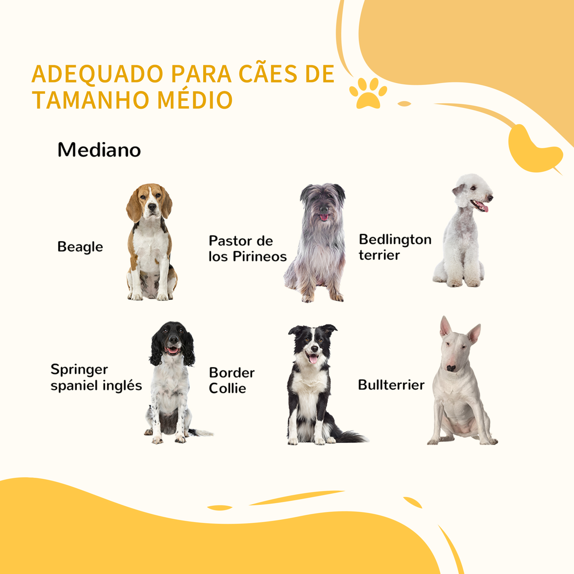 Se muestran seis razas de perros medianos, incluyendo Beagle, Pastor de los Pirineos, y Bedlington Terrier.
