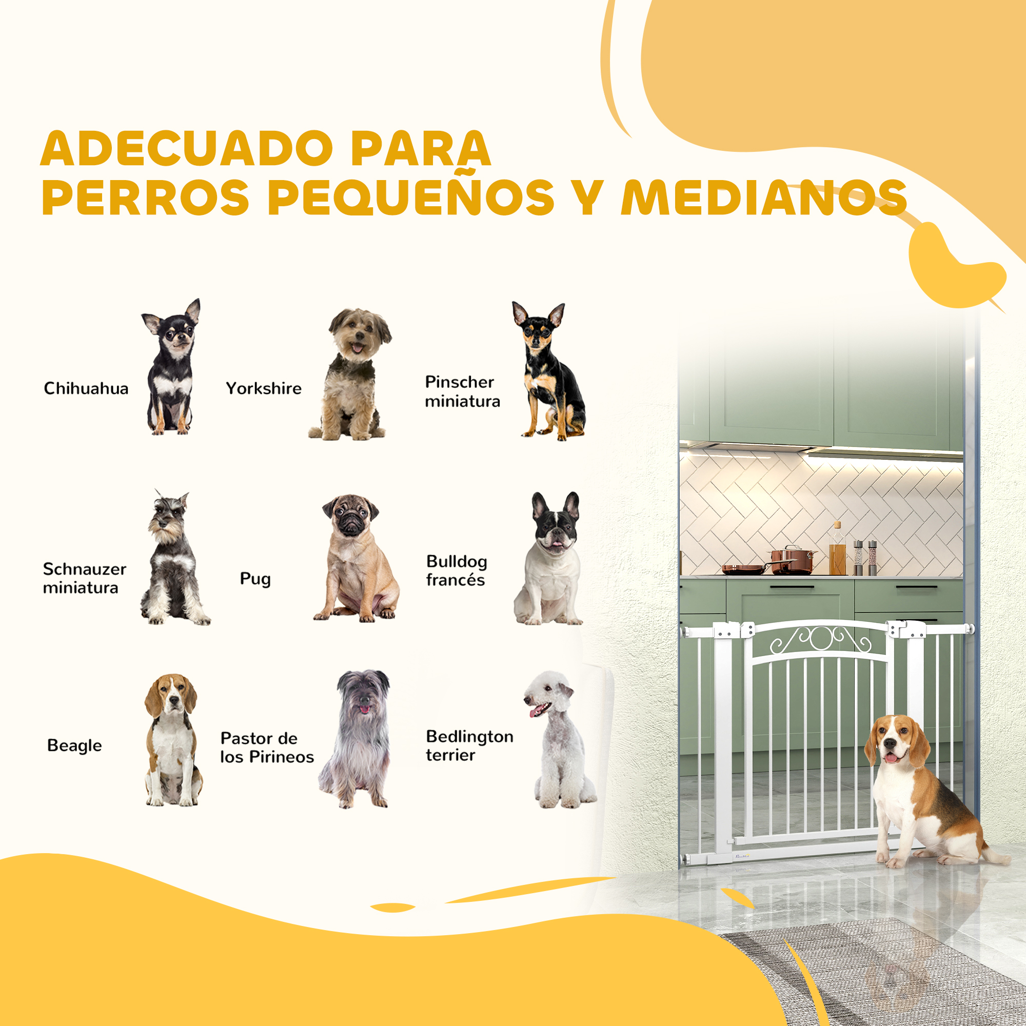 Varias razas de perros pequeños y medianos se muestran con una puerta blanca para mascotas en una habitación verde.