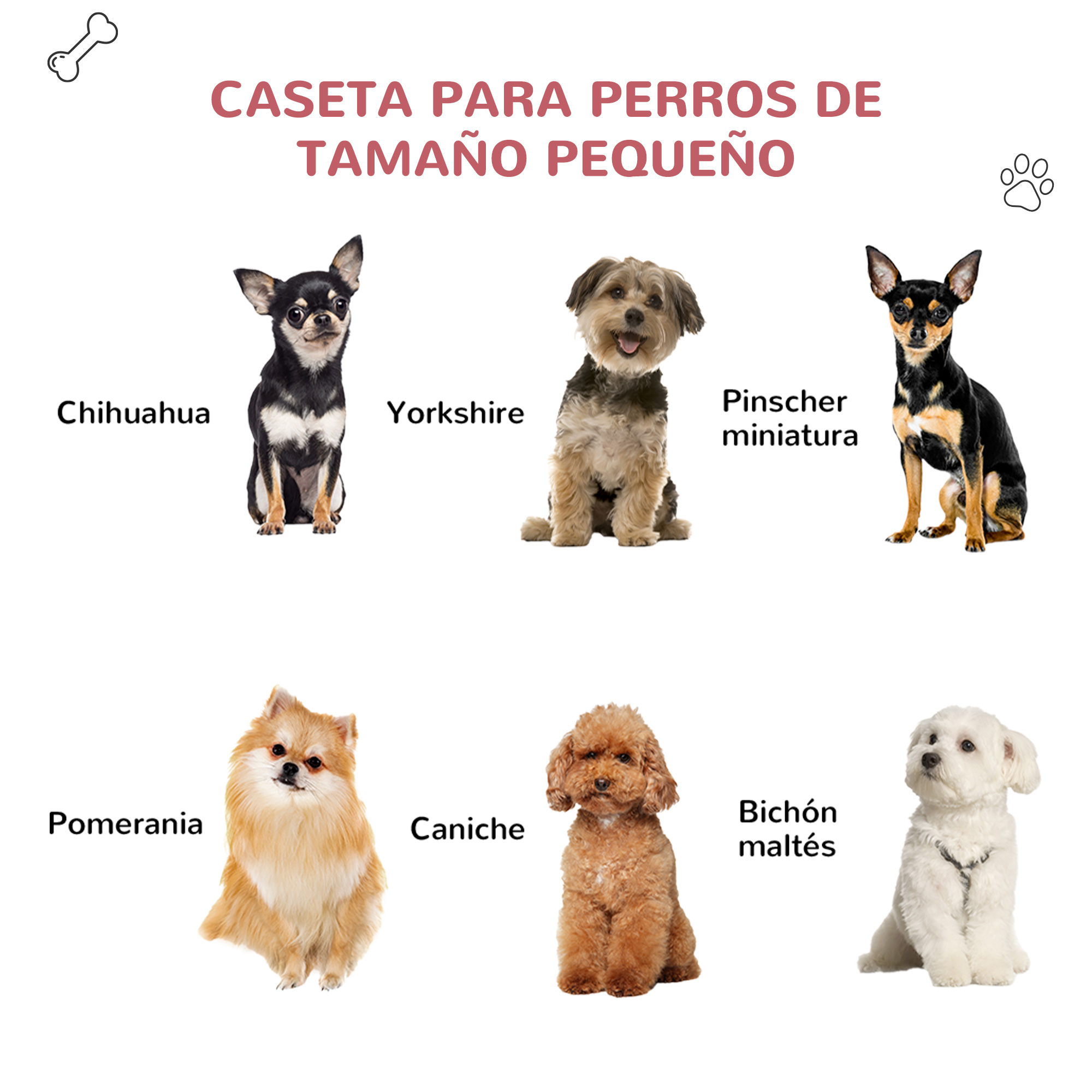 Imágenes de razas de perros pequeños con etiquetas de texto. Incluye Chihuahua, Yorkshire y otros.