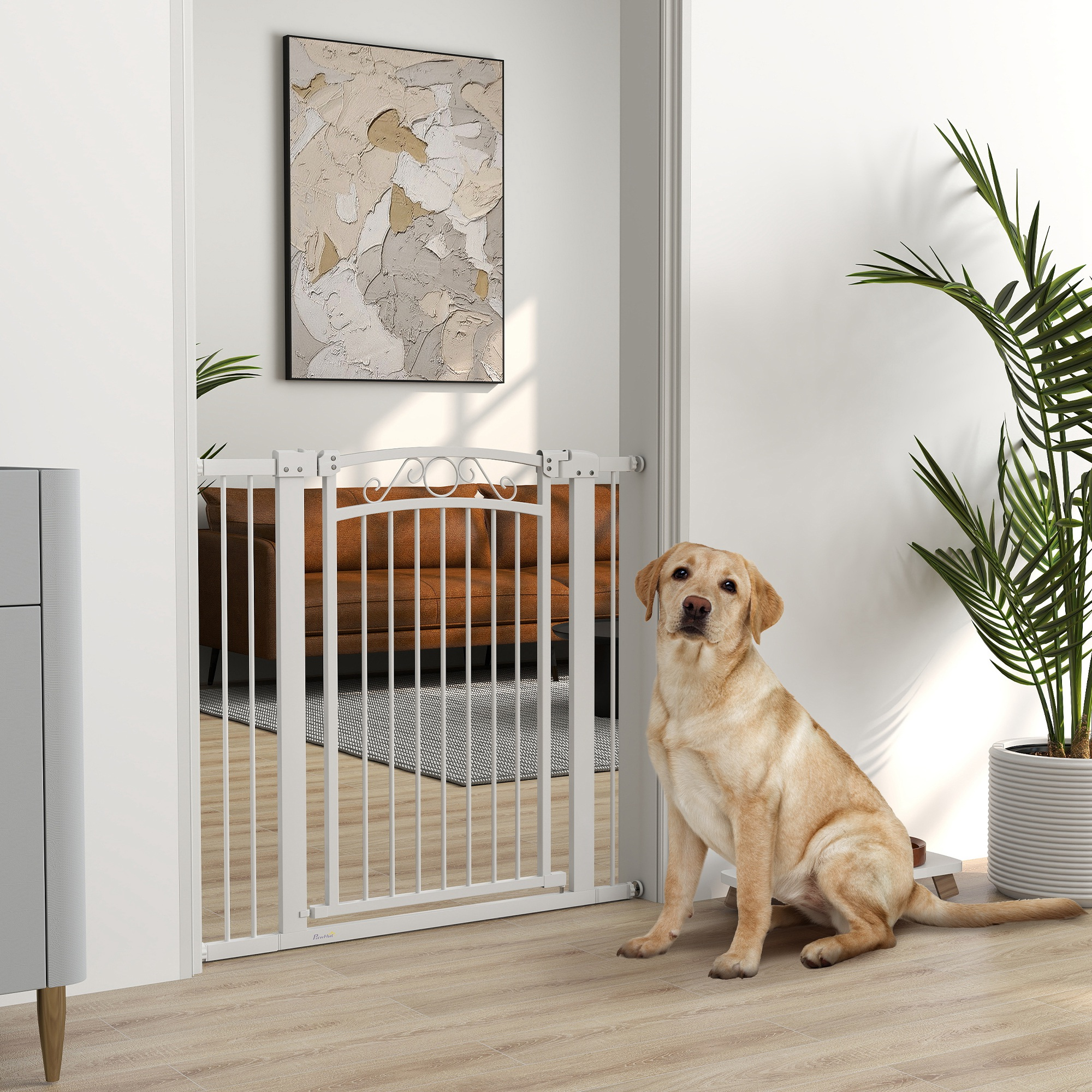 Un Labrador color canela está sentado en una puerta. Una puerta blanca está detrás del perro, con un sofá marrón visible.