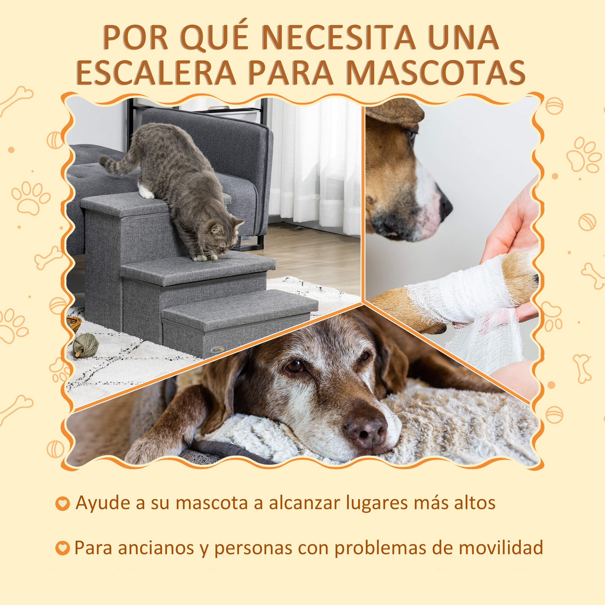 Collage que muestra un gato y un perro usando escaleras para mascotas, también un perro herido con vendaje.