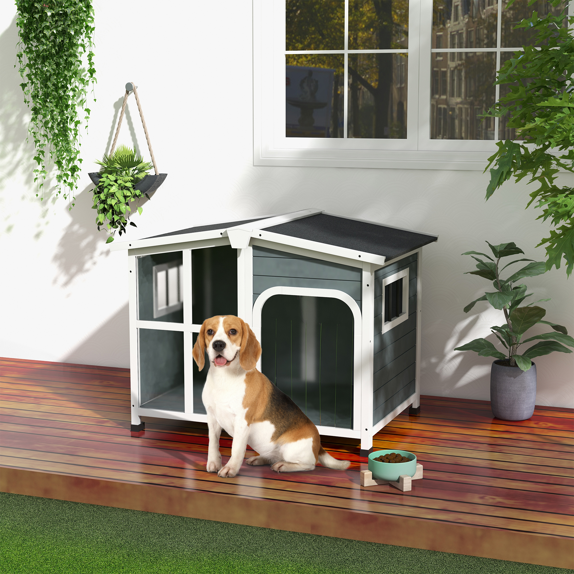 Caseta para perros en terraza de madera. Perro beagle sentado afuera. Césped verde y ventana blanca al fondo.