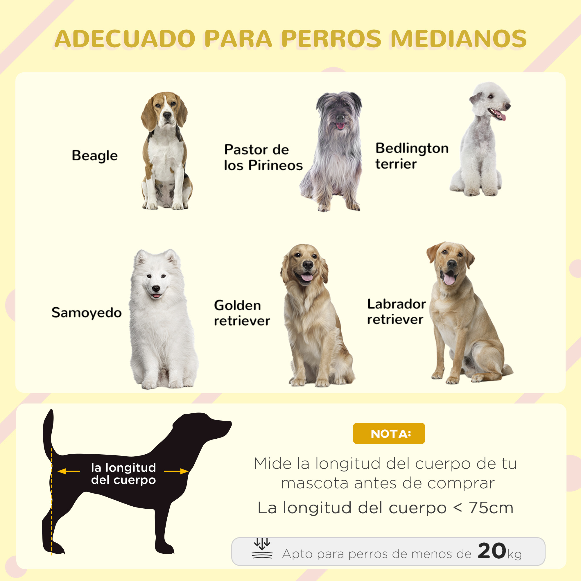 La imagen muestra 7 razas de perros, con una guía de tallas para perros de menos de 75 cm y 20 kg.