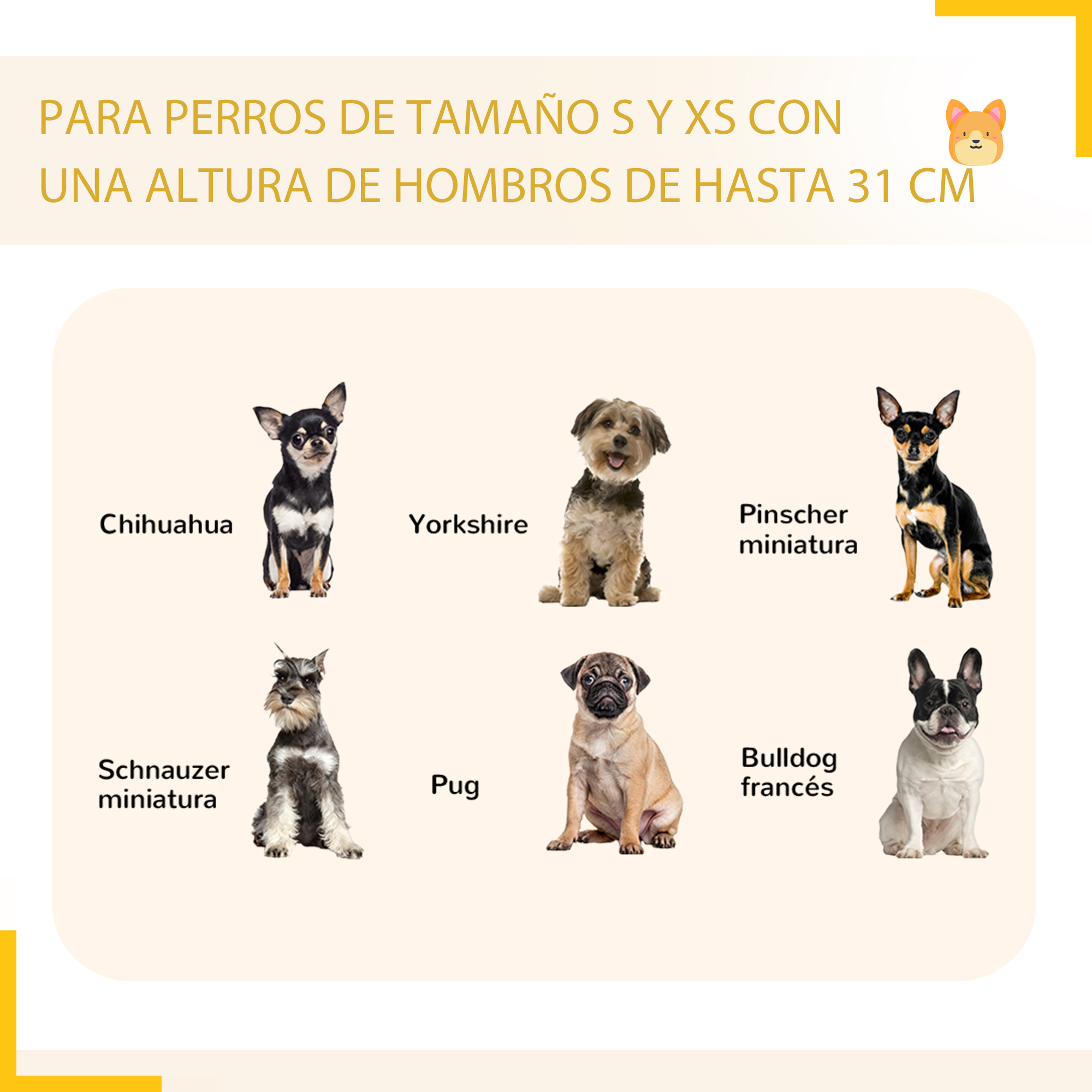 Imágenes de seis razas de perros pequeños: Chihuahua, Yorkshire, Pinscher miniatura, Schnauzer, Pug, Bulldog francés.
