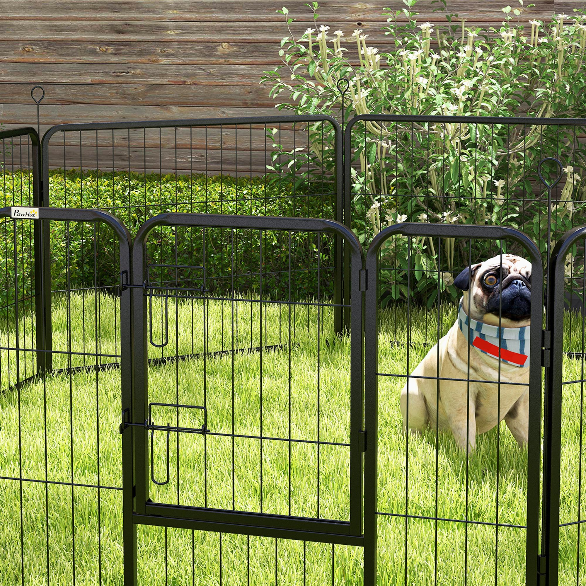 Un carlino dentro de un corral para perros de metal negro sobre hierba verde, con una valla de madera en el fondo.