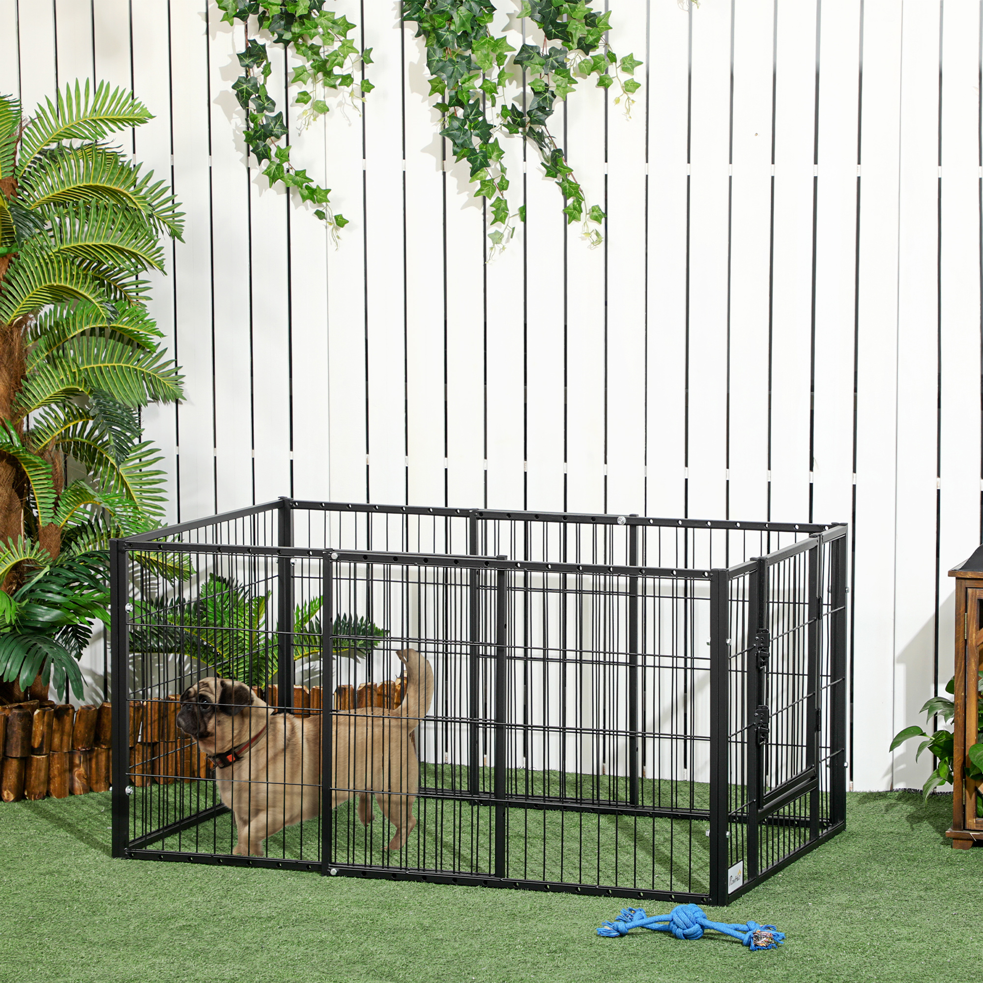 Un pug dentro de una valla de metal negro para perros sobre hierba verde.