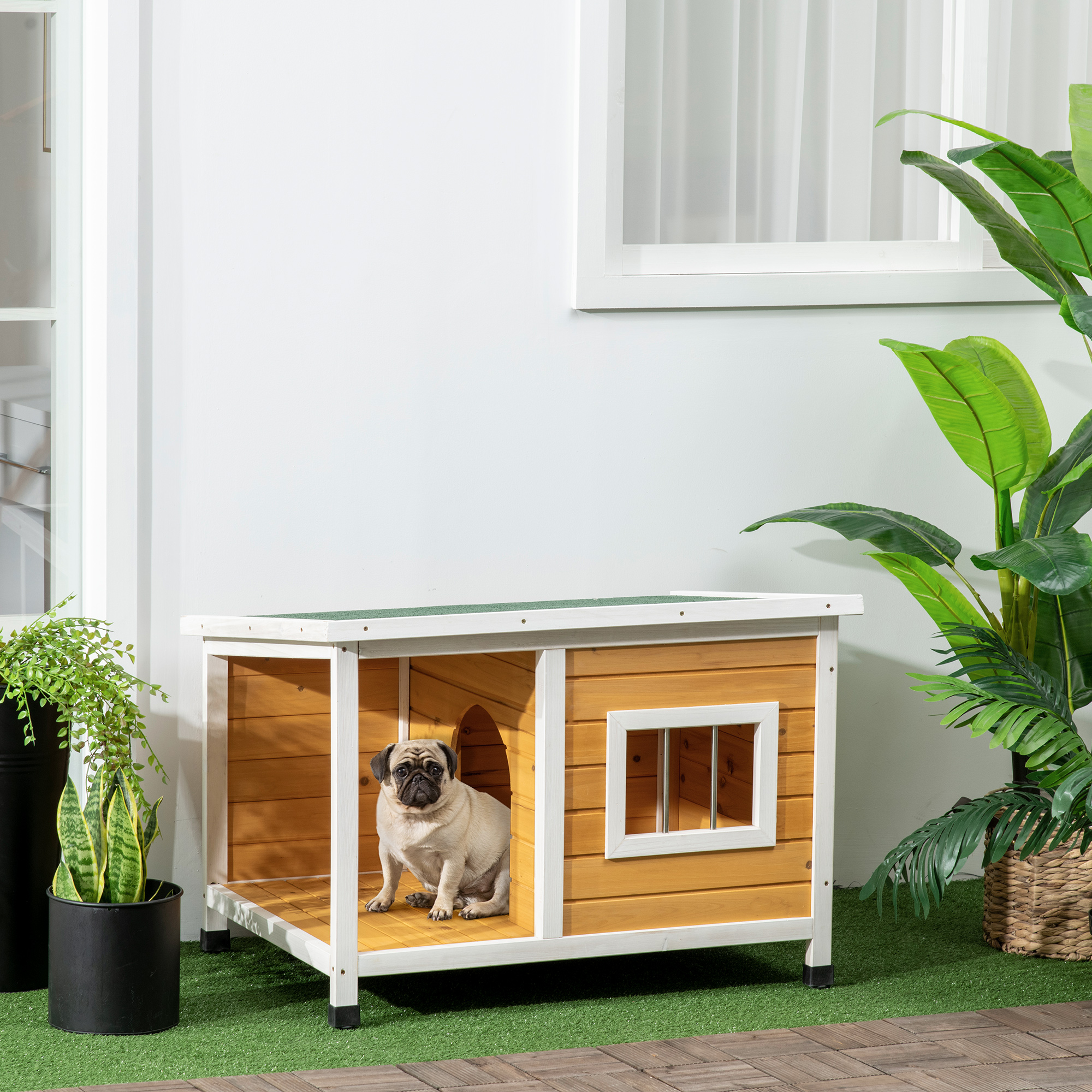 Un perro pug sentado en una caseta de madera.