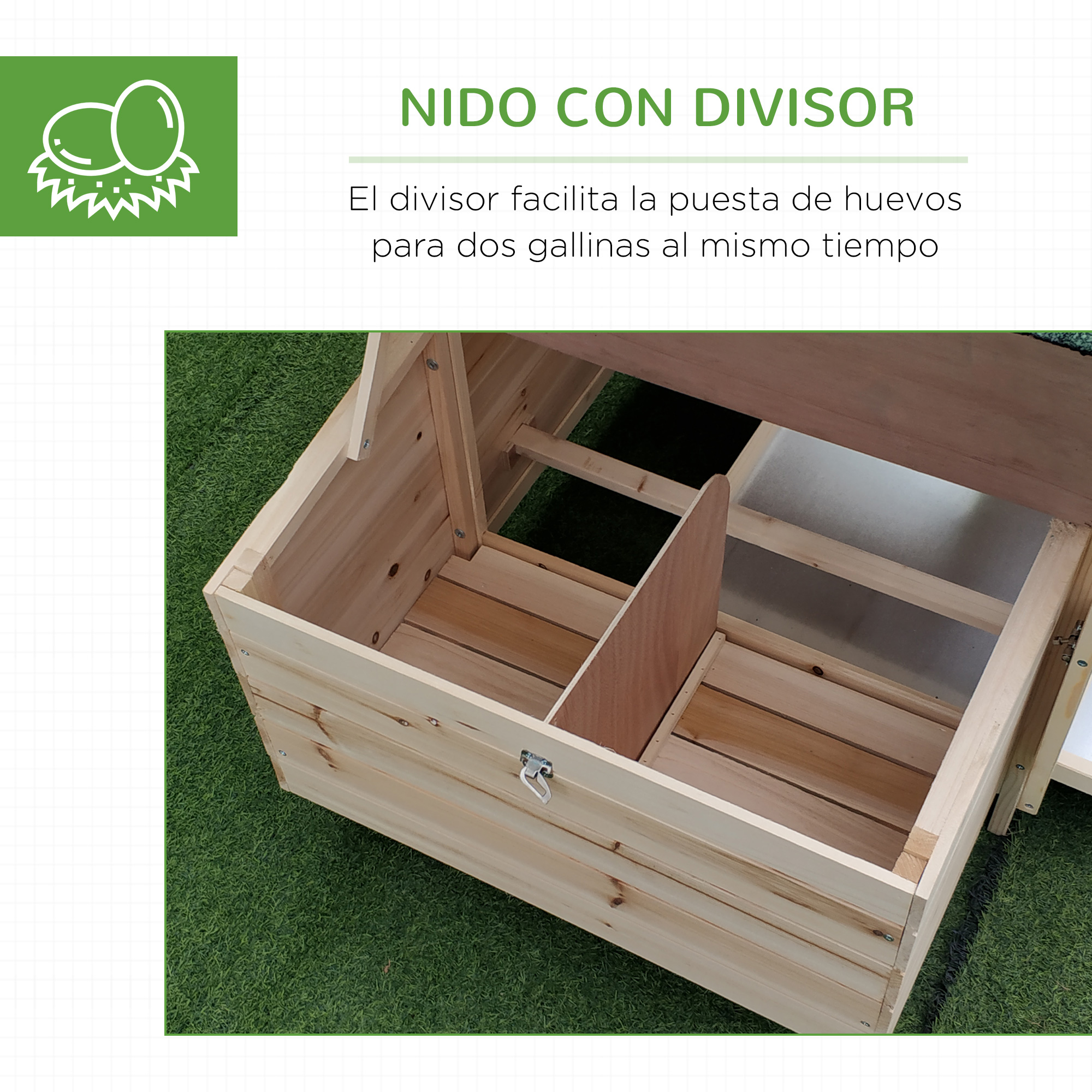Nido de gallinero con divisor, vista interior.