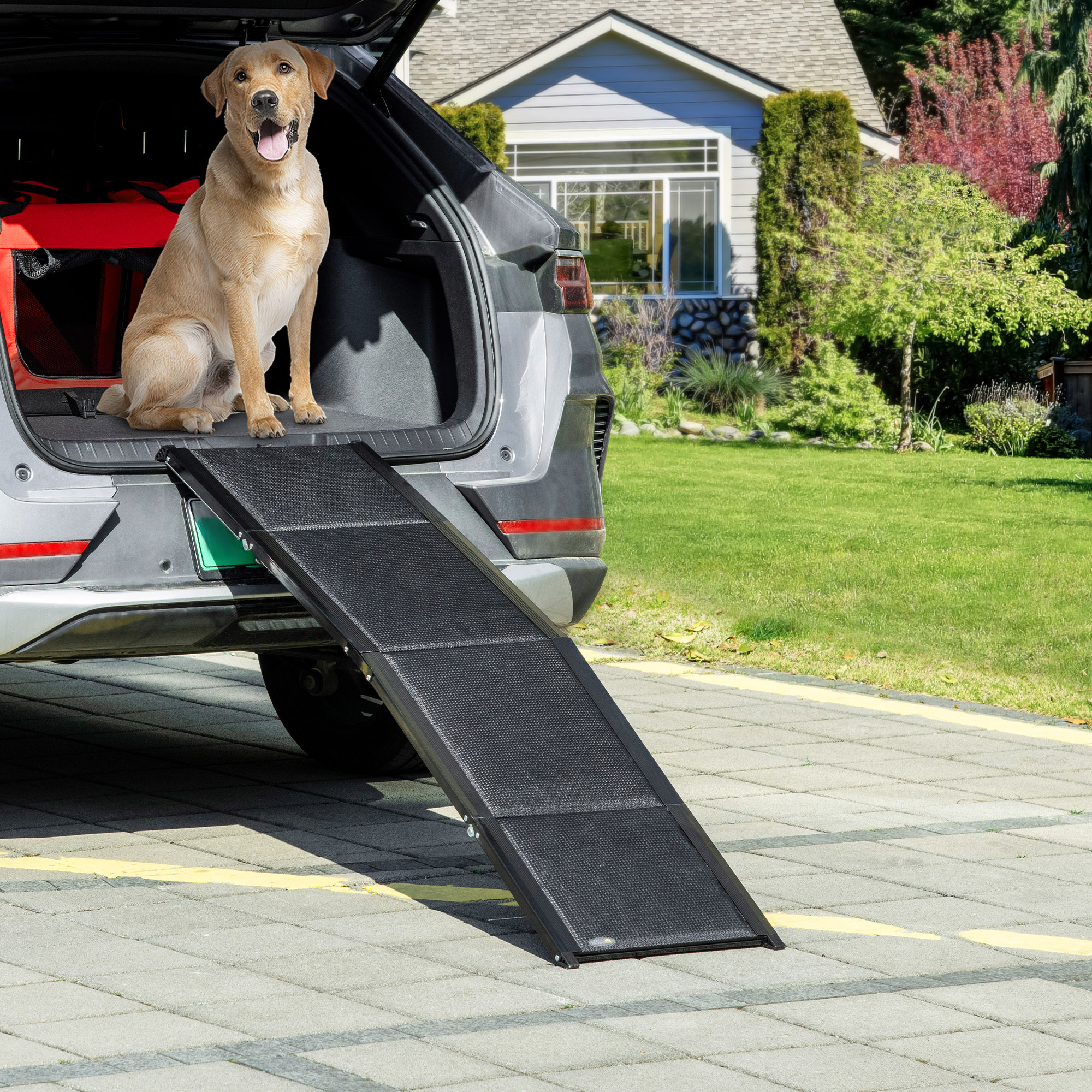 Perro en una rampa que se extiende desde el maletero de un coche.