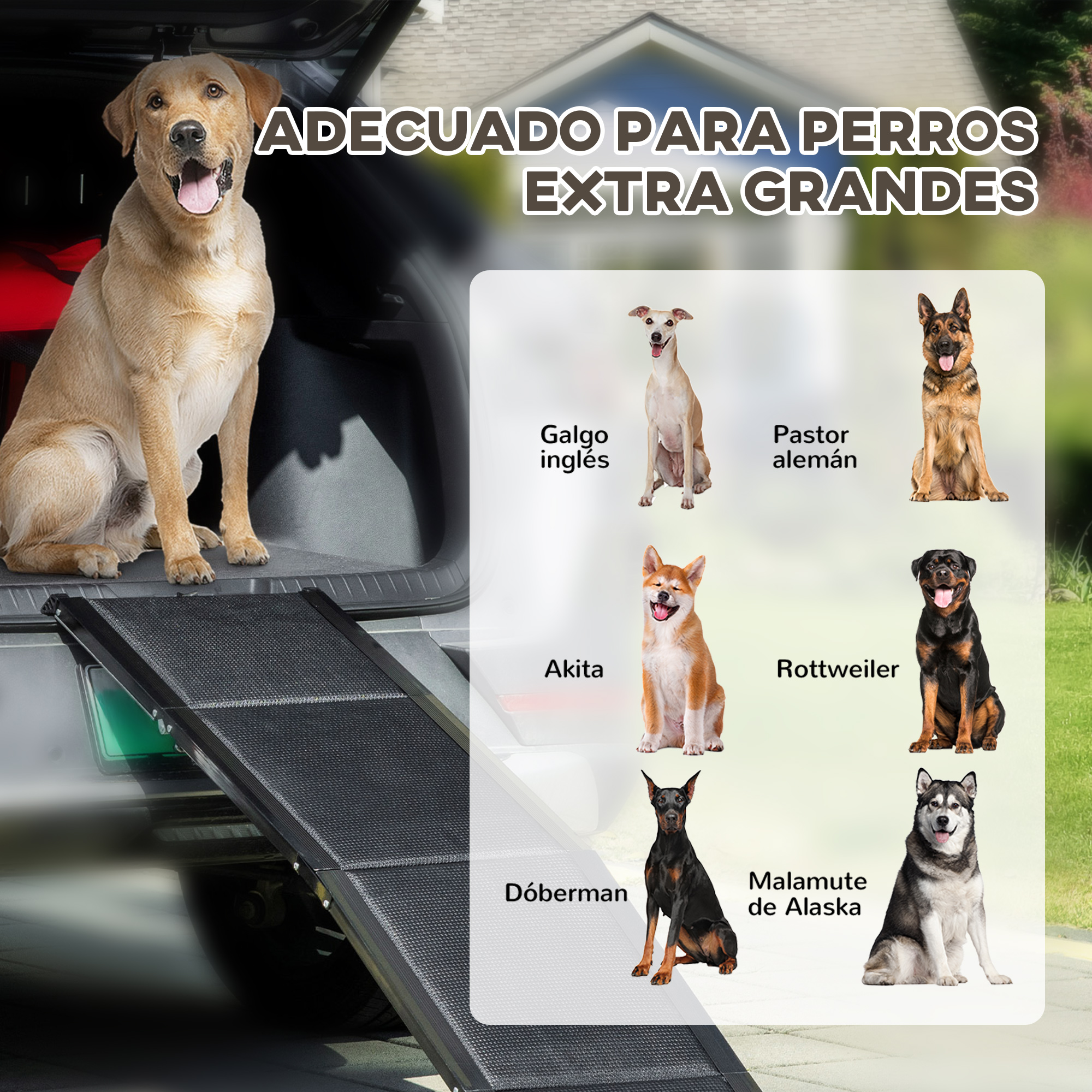 Se muestra una rampa para coches y perros. Hay perros: galgo inglés, pastor alemán, Akita y otros.