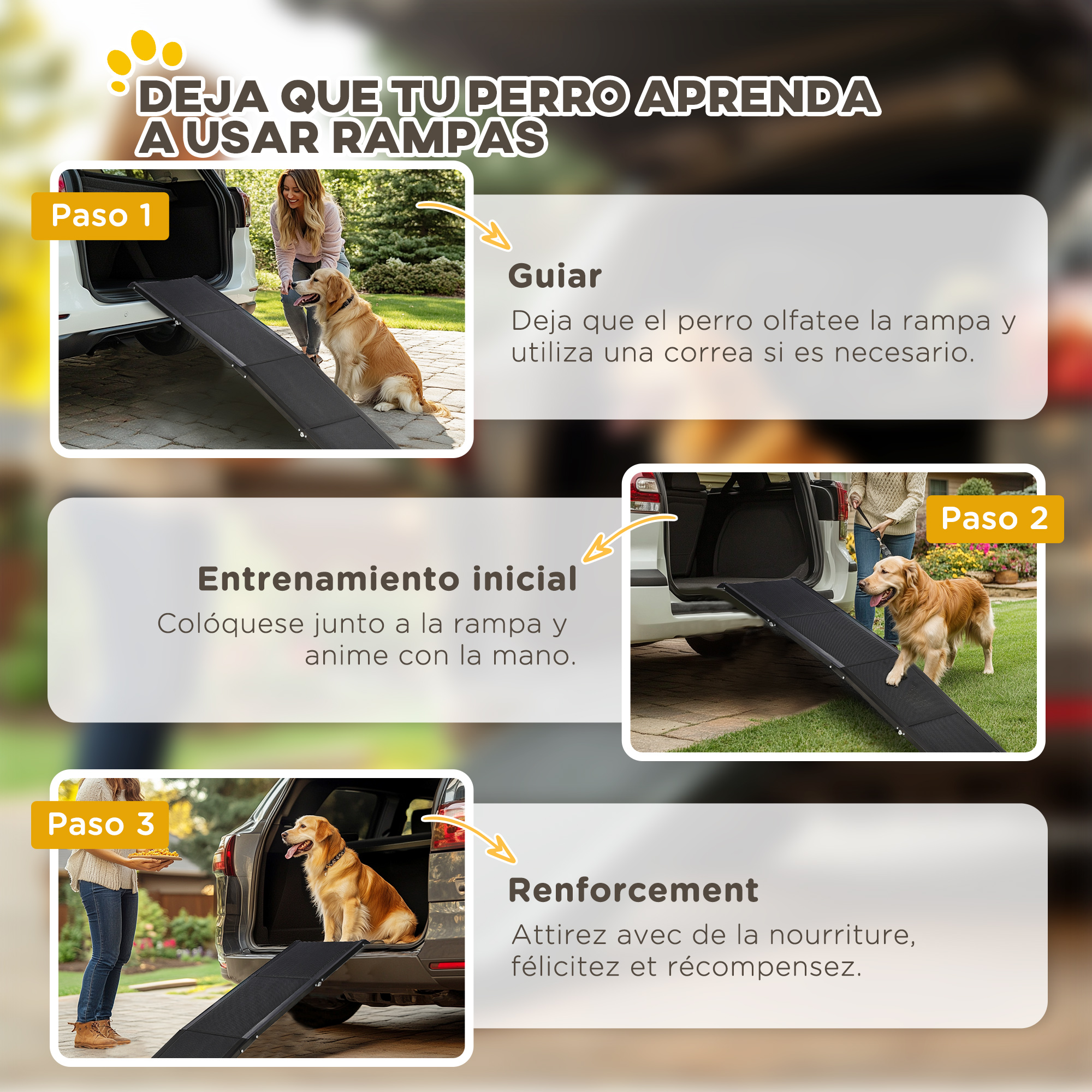 Un perro aprende a usar rampas. Los pasos muestran a un perro olfateando, subiendo y sentado en un auto.