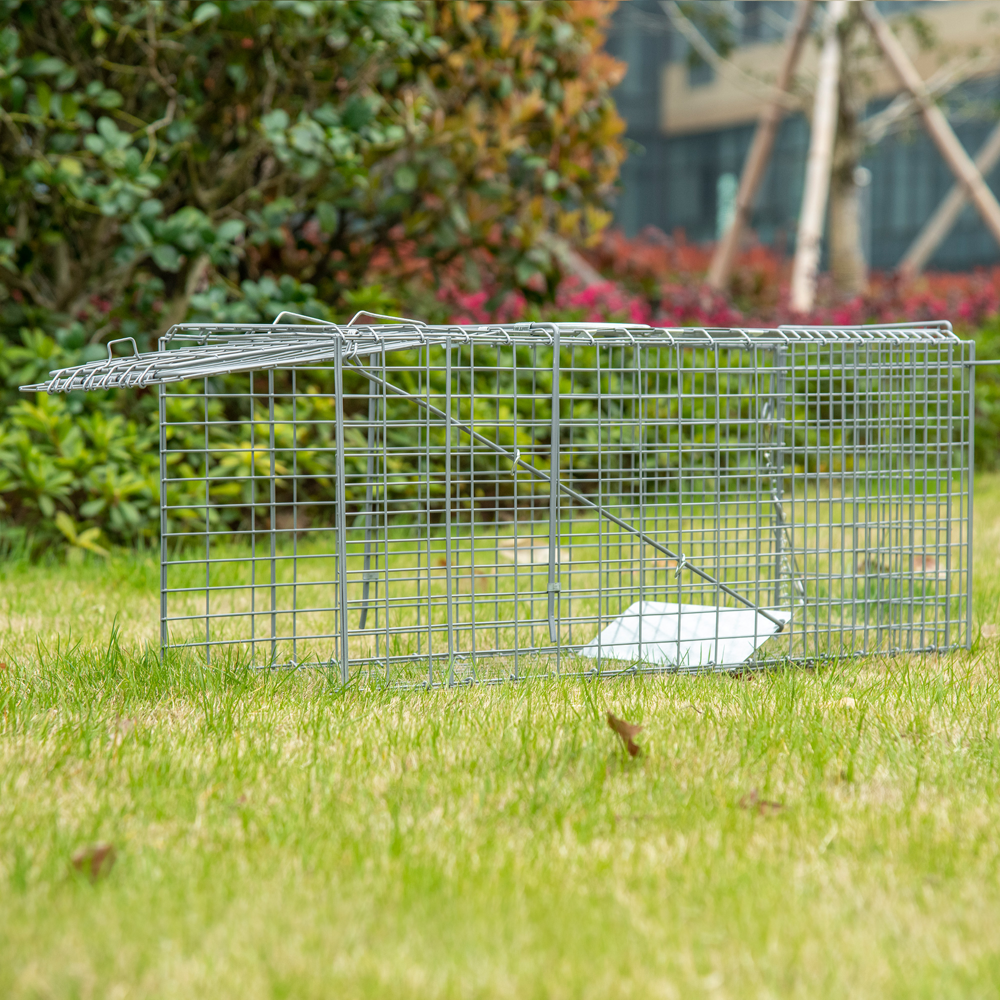 Una trampa metálica plateada para animales sobre hierba verde, frente a un arbusto verde.