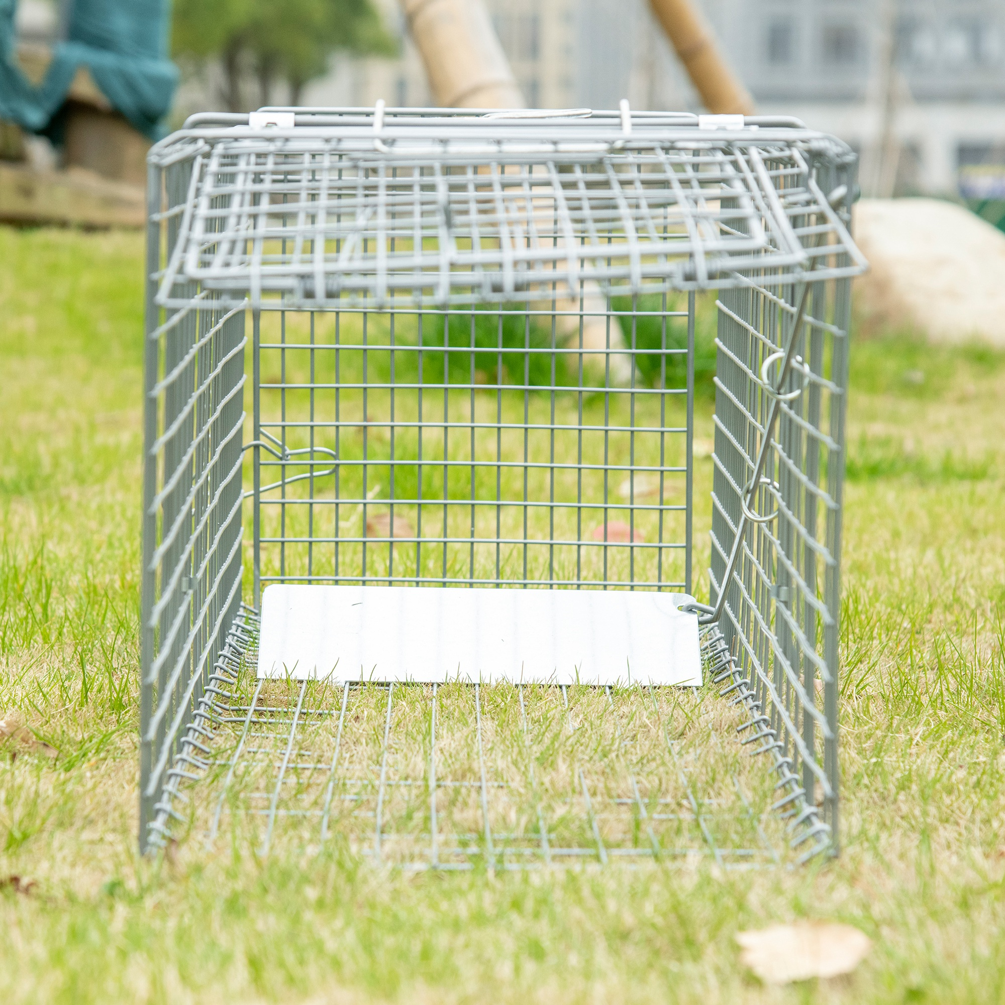 Una trampa de animales metálica en un área cubierta de hierba. La trampa tiene una puerta abierta, lista para atrapar algo.