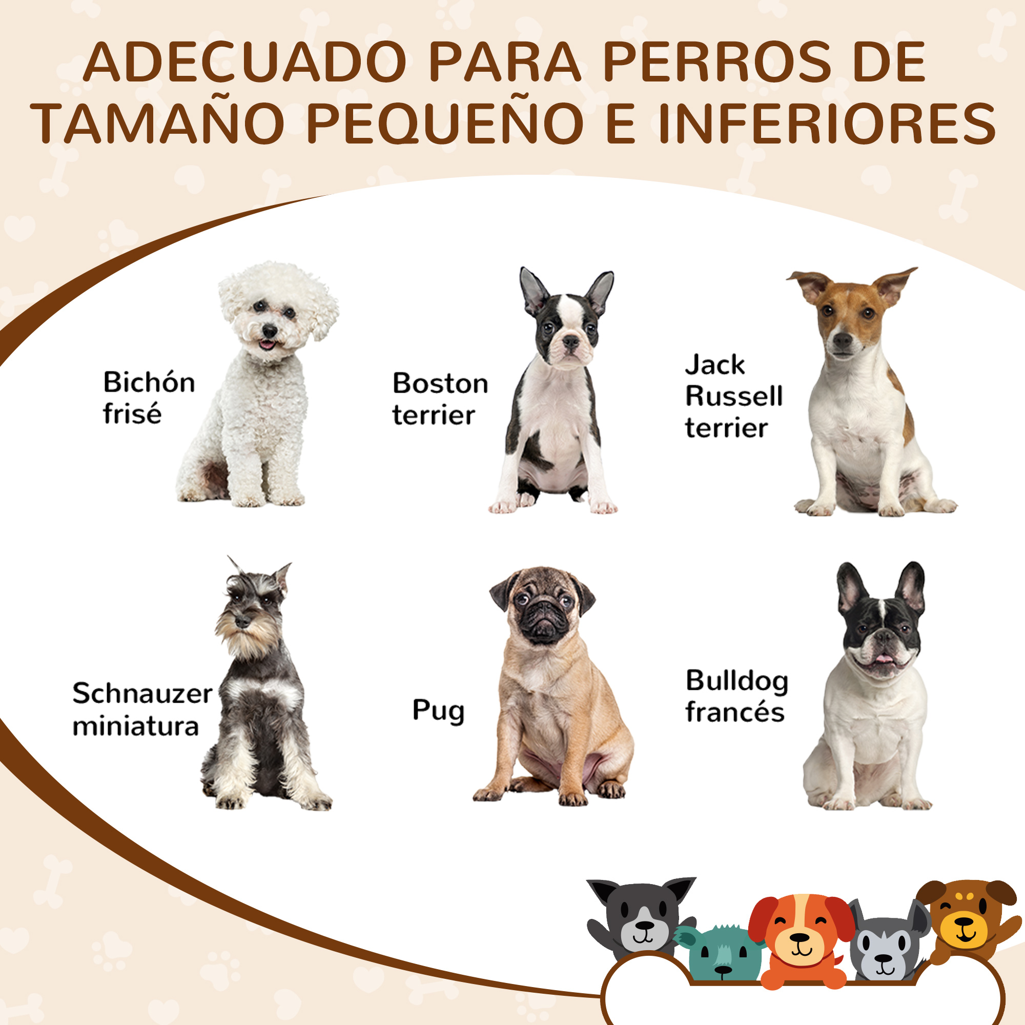 Varias razas de perros pequeños, incluyendo Bichon Frise, Boston Terrier y Jack Russell Terrier.