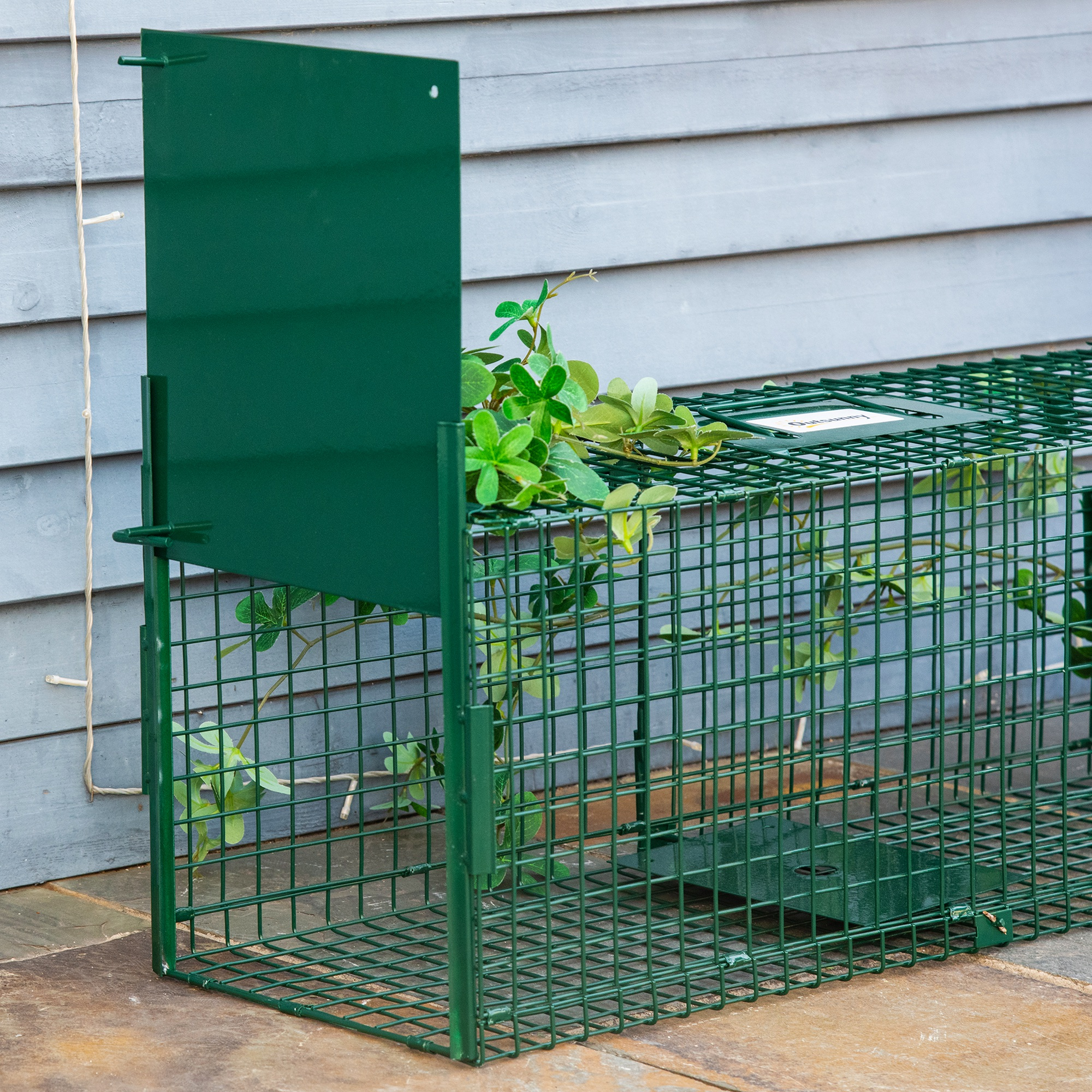 Trampa para animales de metal verde con puerta verde abierta, con plantas y fondo de madera gris.