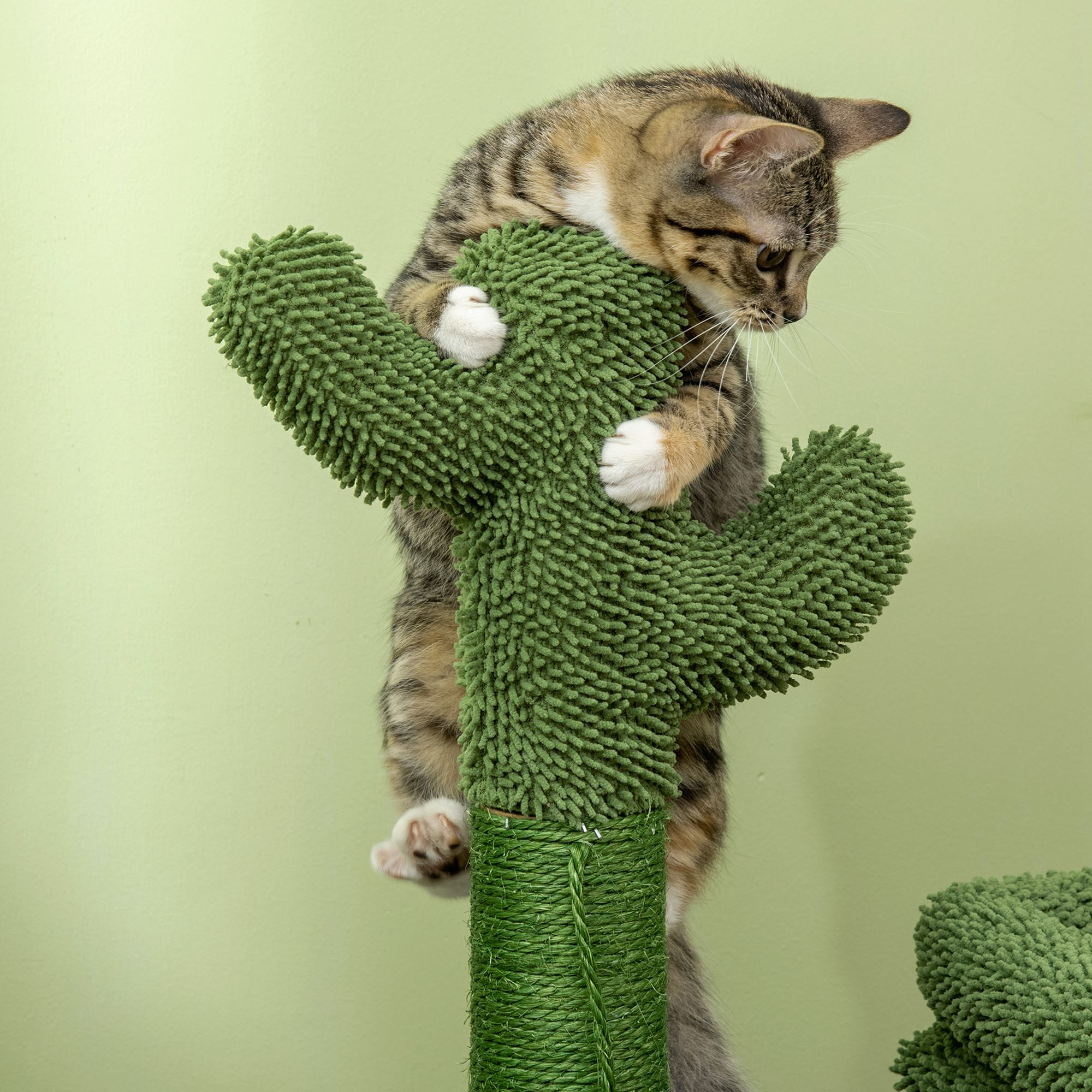 Un gatito trepa por un rascador en forma de cactus verde.
