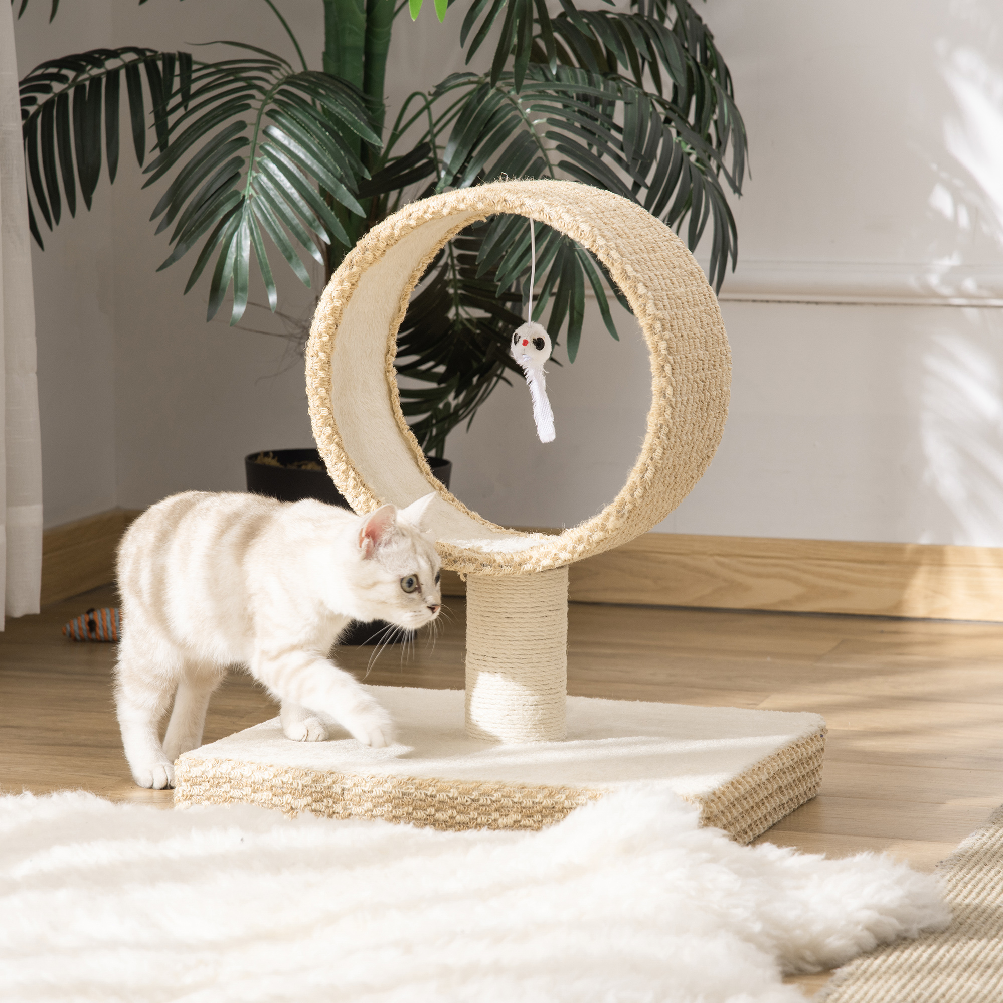 Un gato está cerca de un árbol para gatos beige. Tiene un rascador y una cama circular.