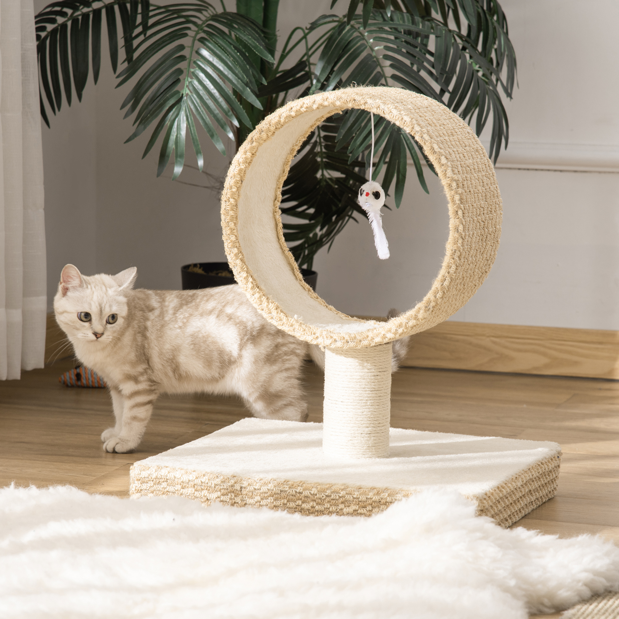 Árbol para gatos con un gato al lado, un círculo esponjoso y un juguete colgante.
