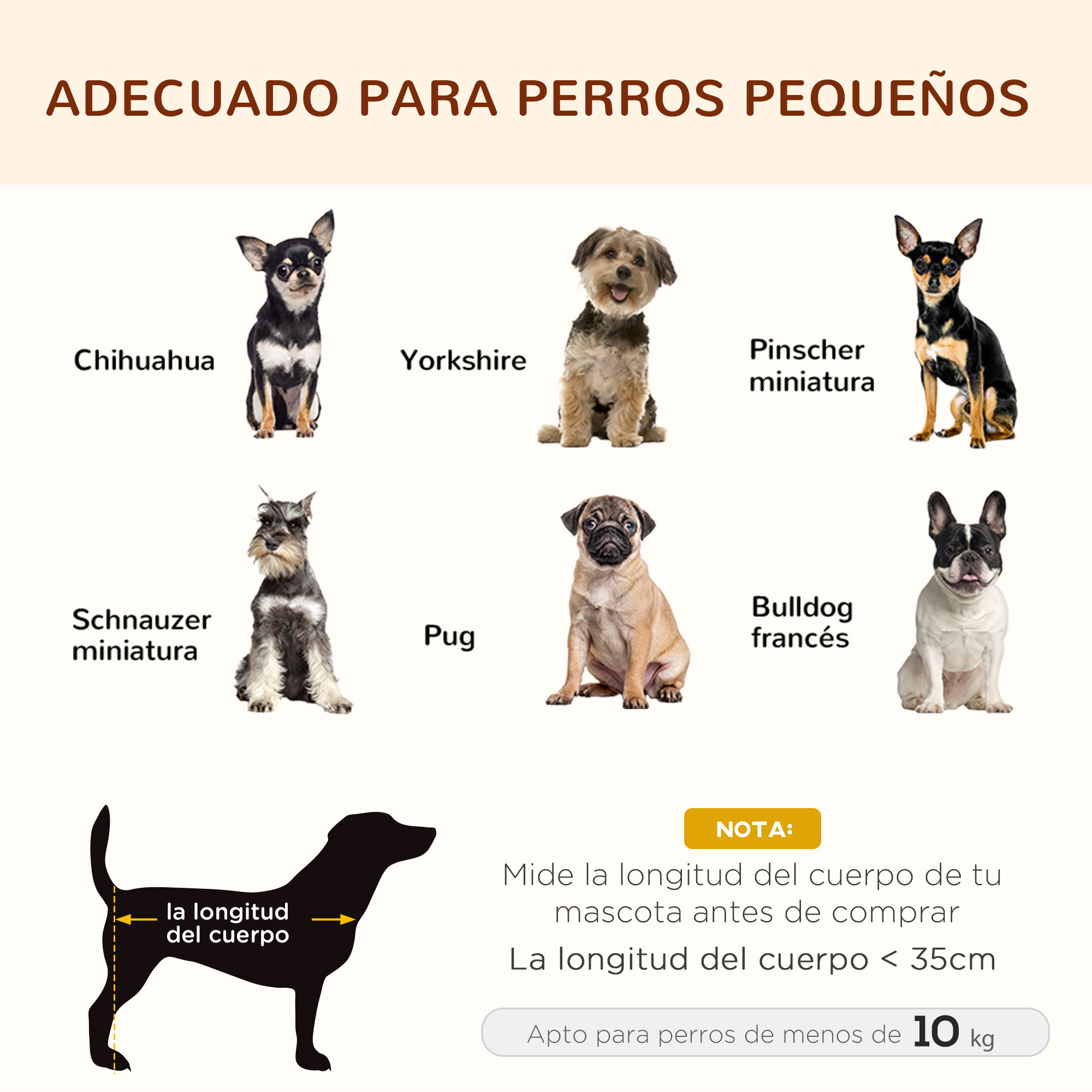 Imágenes de diferentes razas de perros pequeños: Chihuahua, Yorkshire, Pinscher miniatura, Schnauzer, Pug, Bulldog francés.