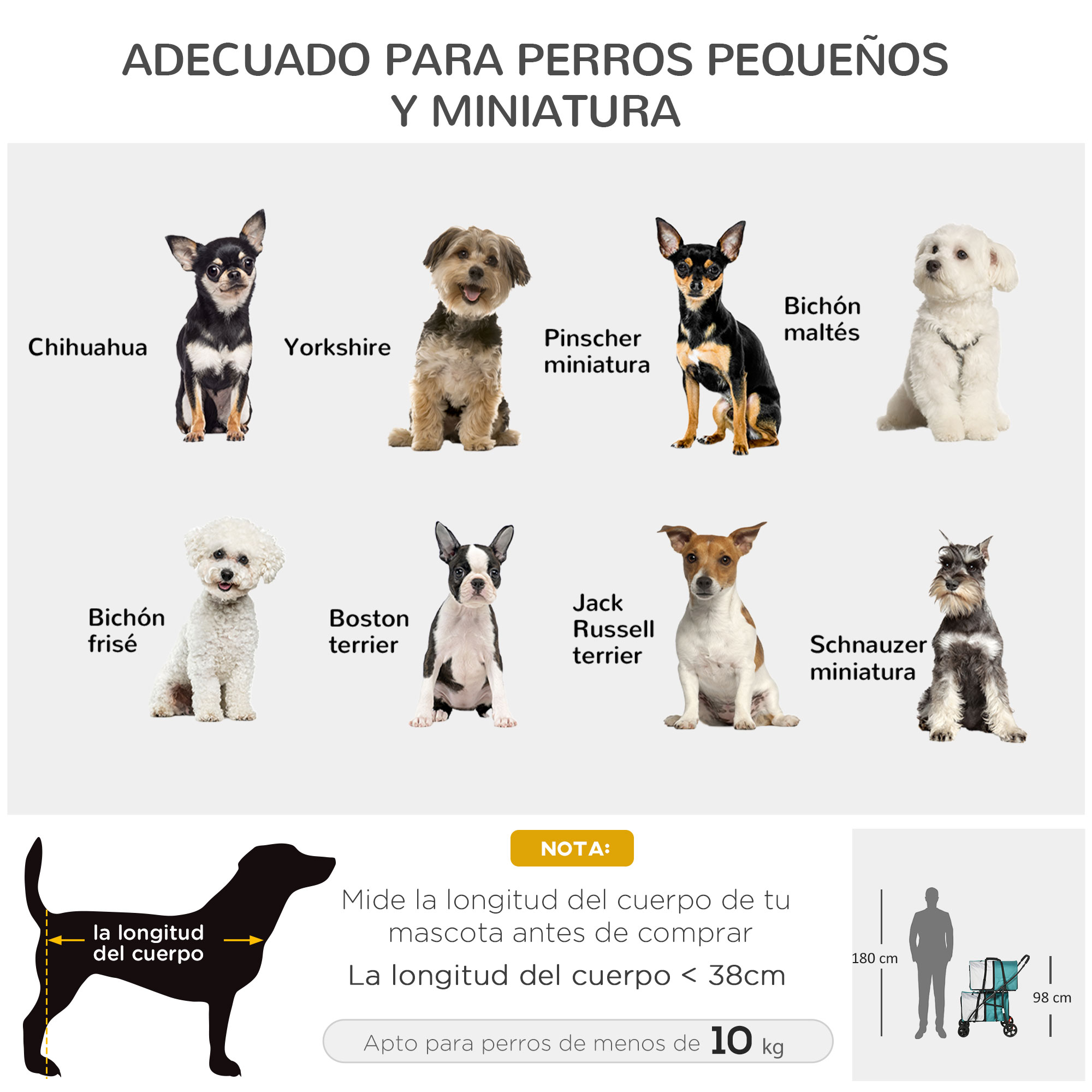 Imagen de perros pequeños. Incluye razas como Chihuahua, Yorkshire y Jack Russell terrier.